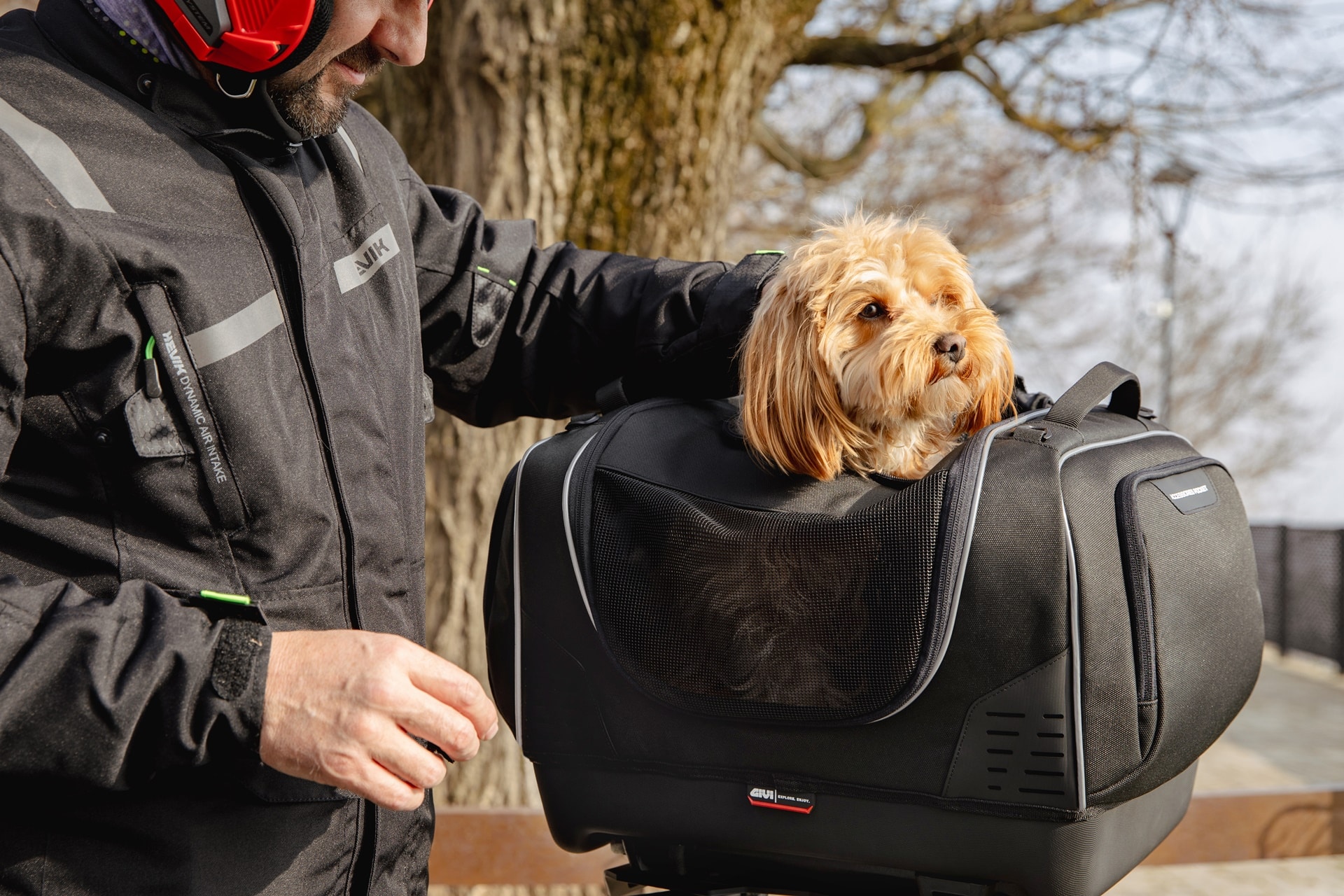 Pet Bag T525, la nueva maleta semirígida de GIVI