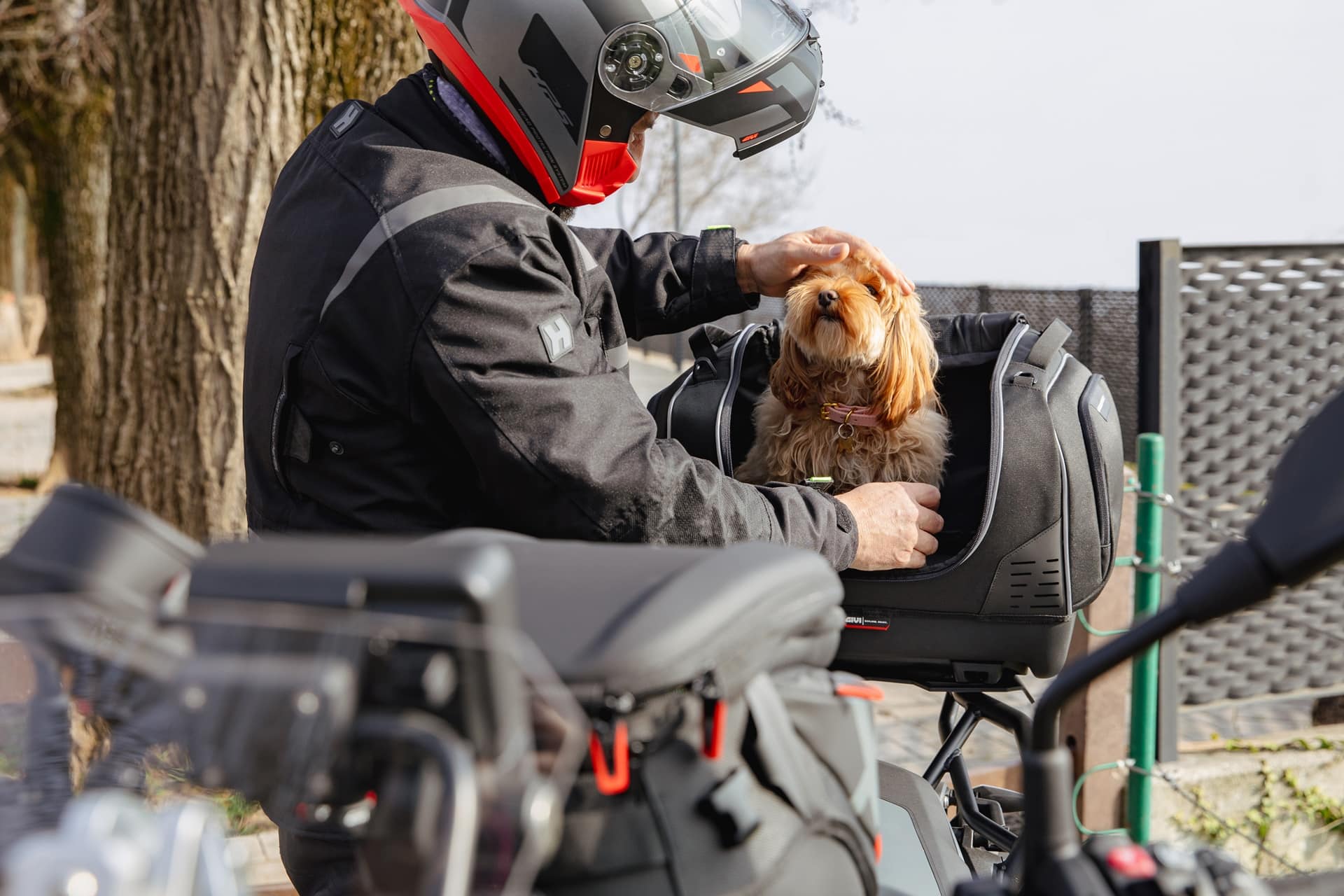 Pet Bag T525, la nueva maleta semirígida de GIVI