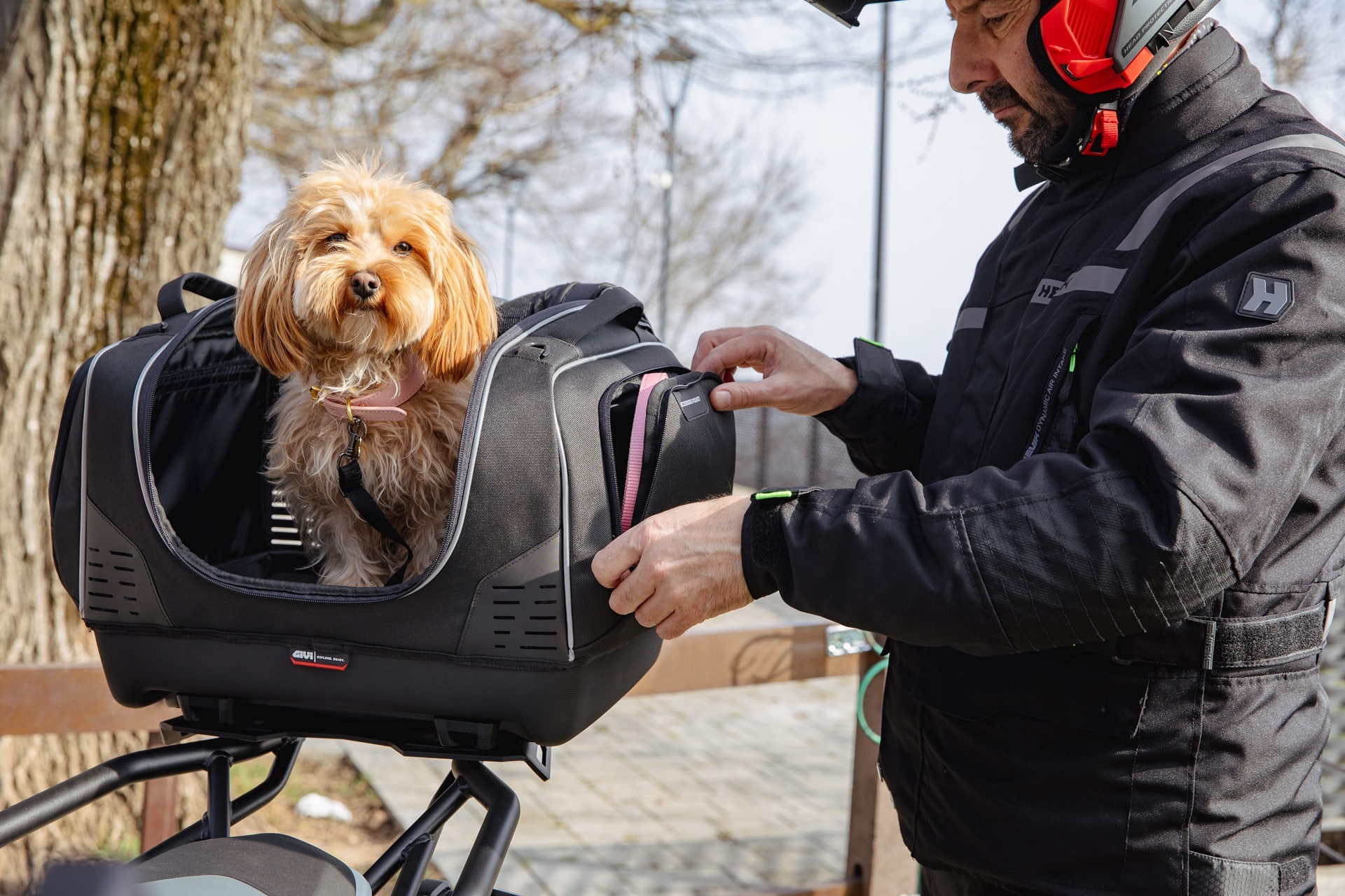 Pet Bag T525, la nueva maleta semirígida de GIVI