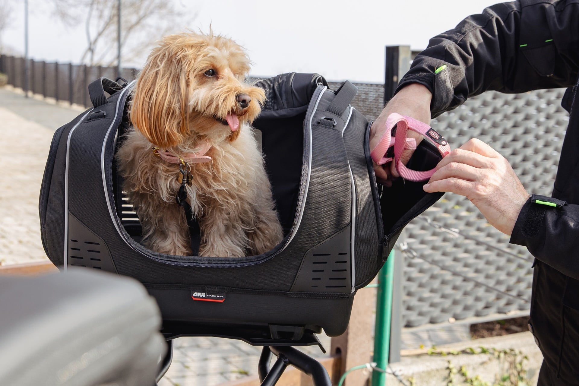 Pet Bag T525, la nueva maleta semirígida de GIVI