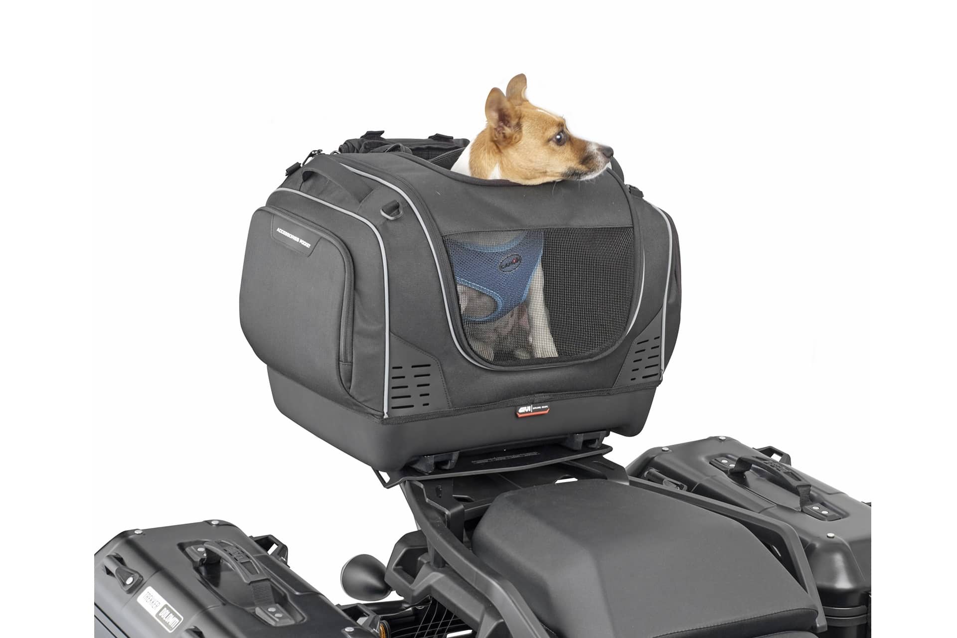 Pet Bag T525, la nueva maleta semirígida de GIVI