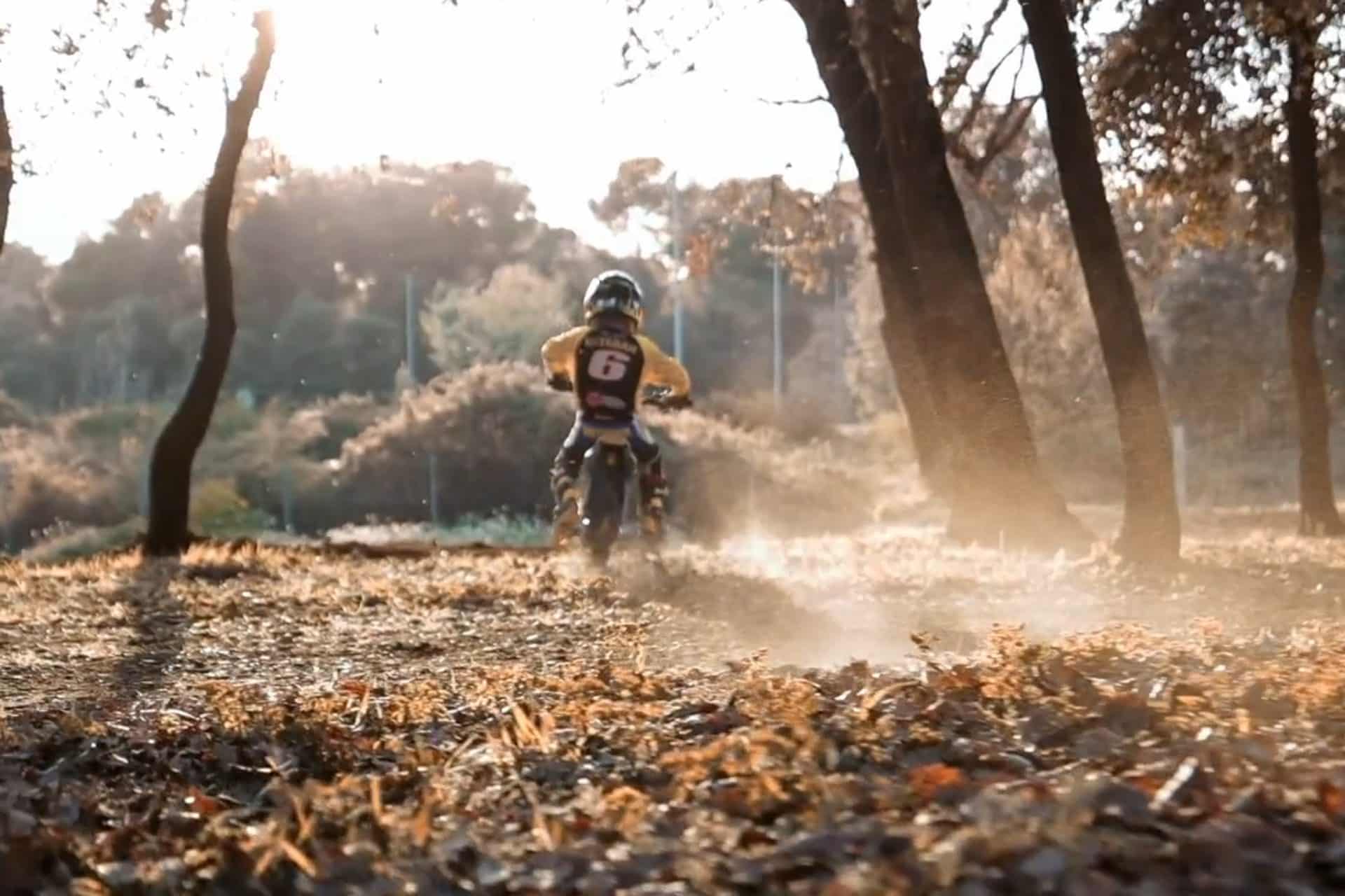 Torrot motos electricas