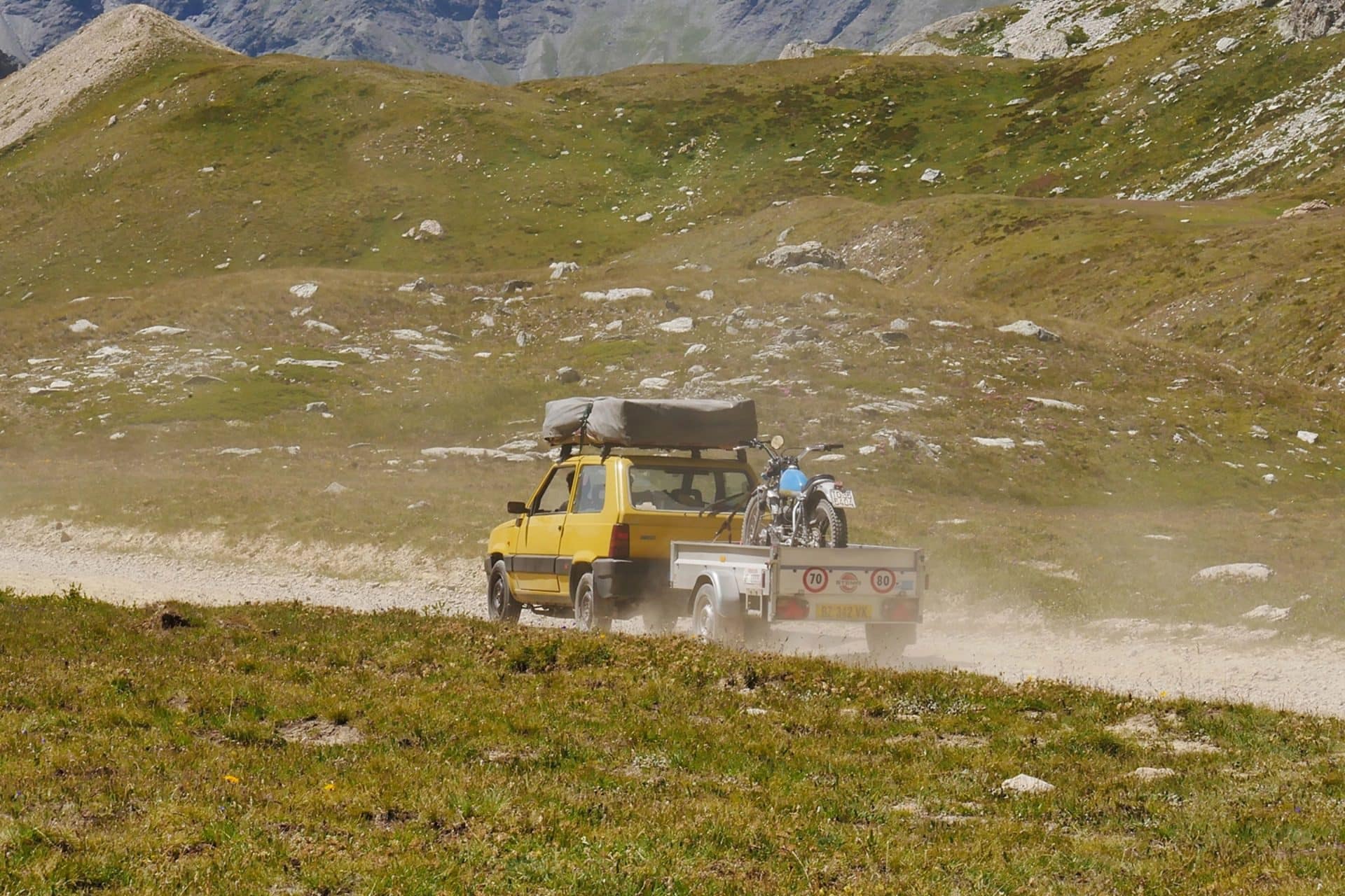 Stella Alpina