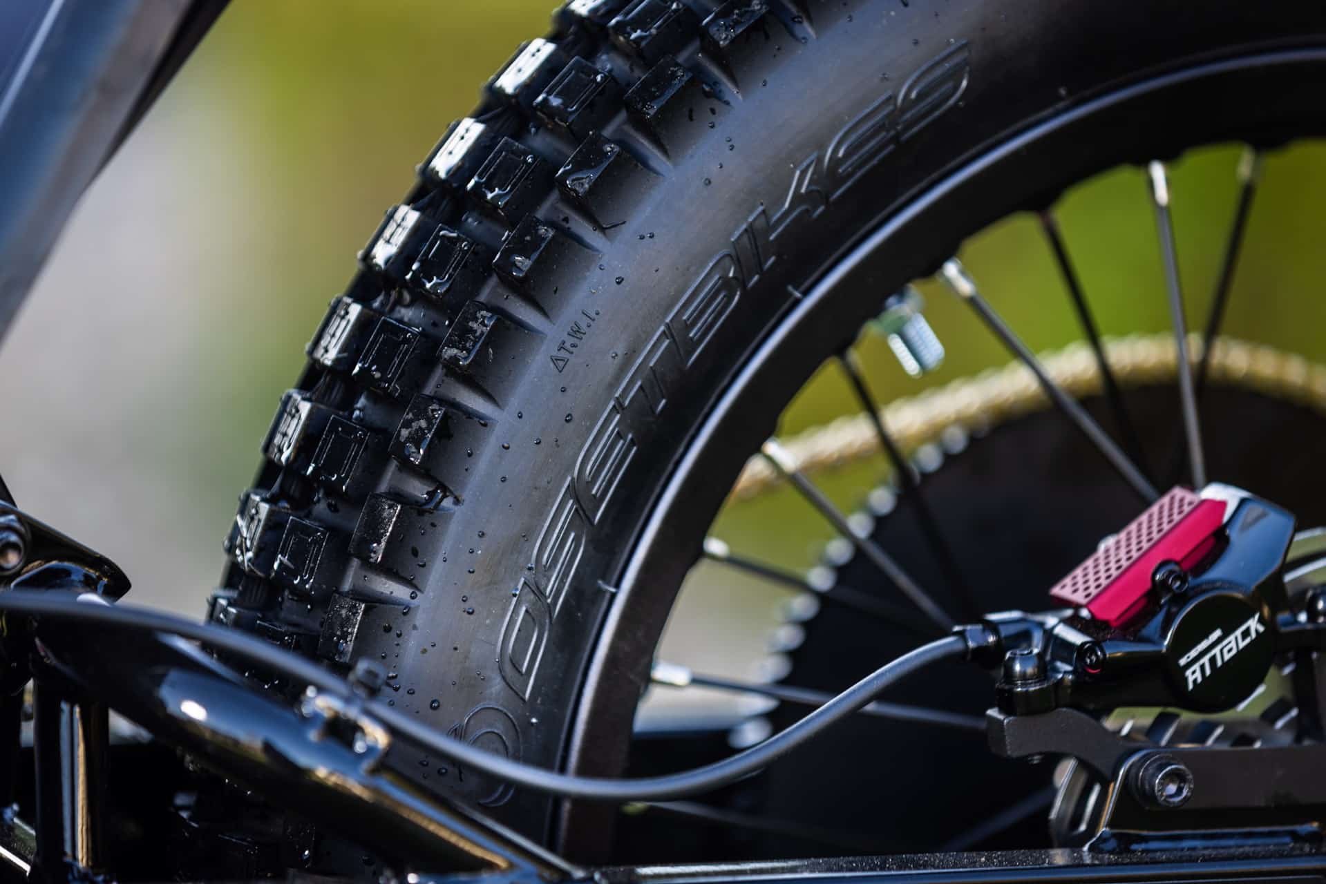 Triumph relanza Oset con la evolucionada e innovadora gama TXP