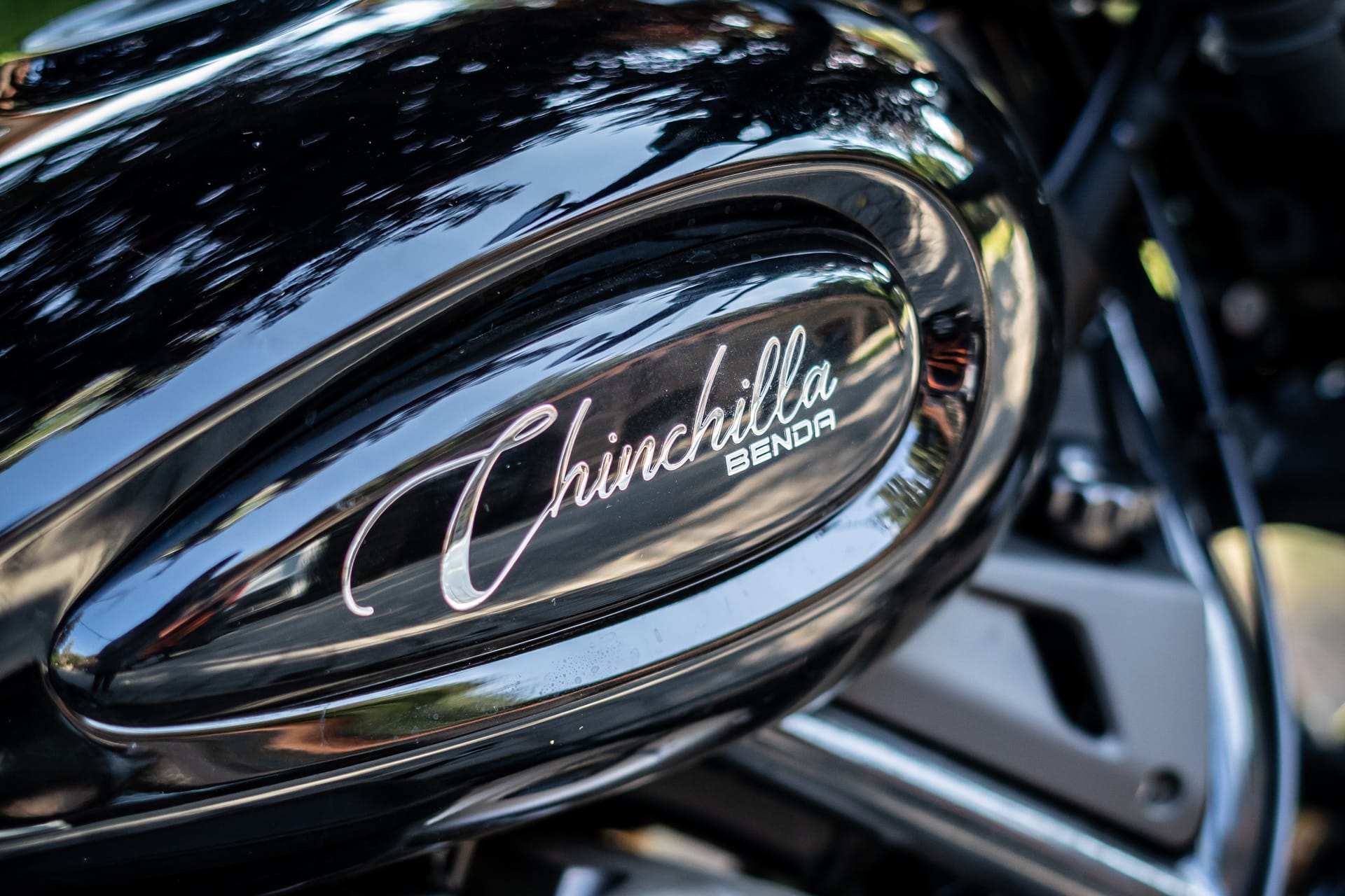 Prueba Benda Chinchilla 500 V2