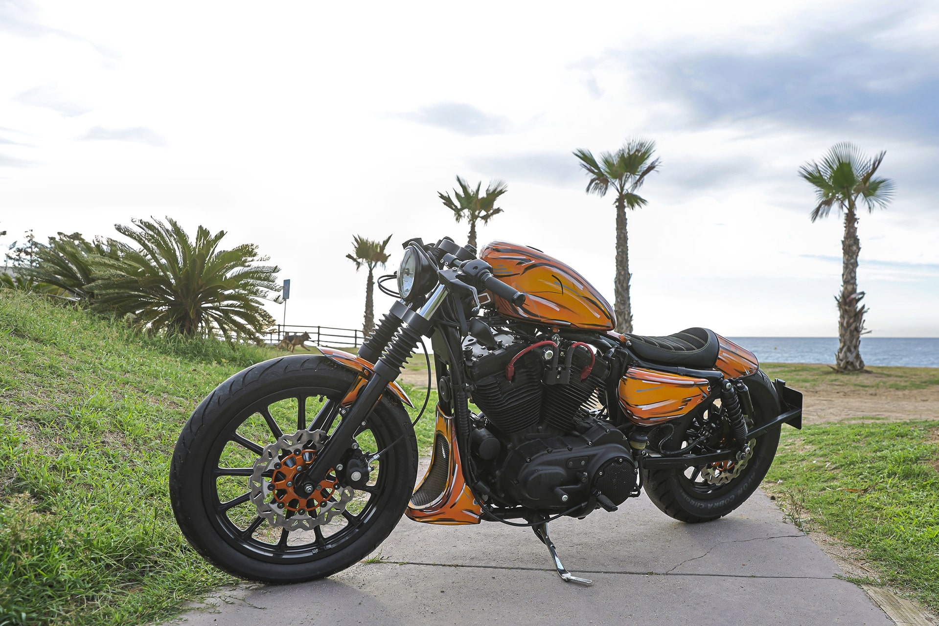 Gama Galfer V-Twin 2025