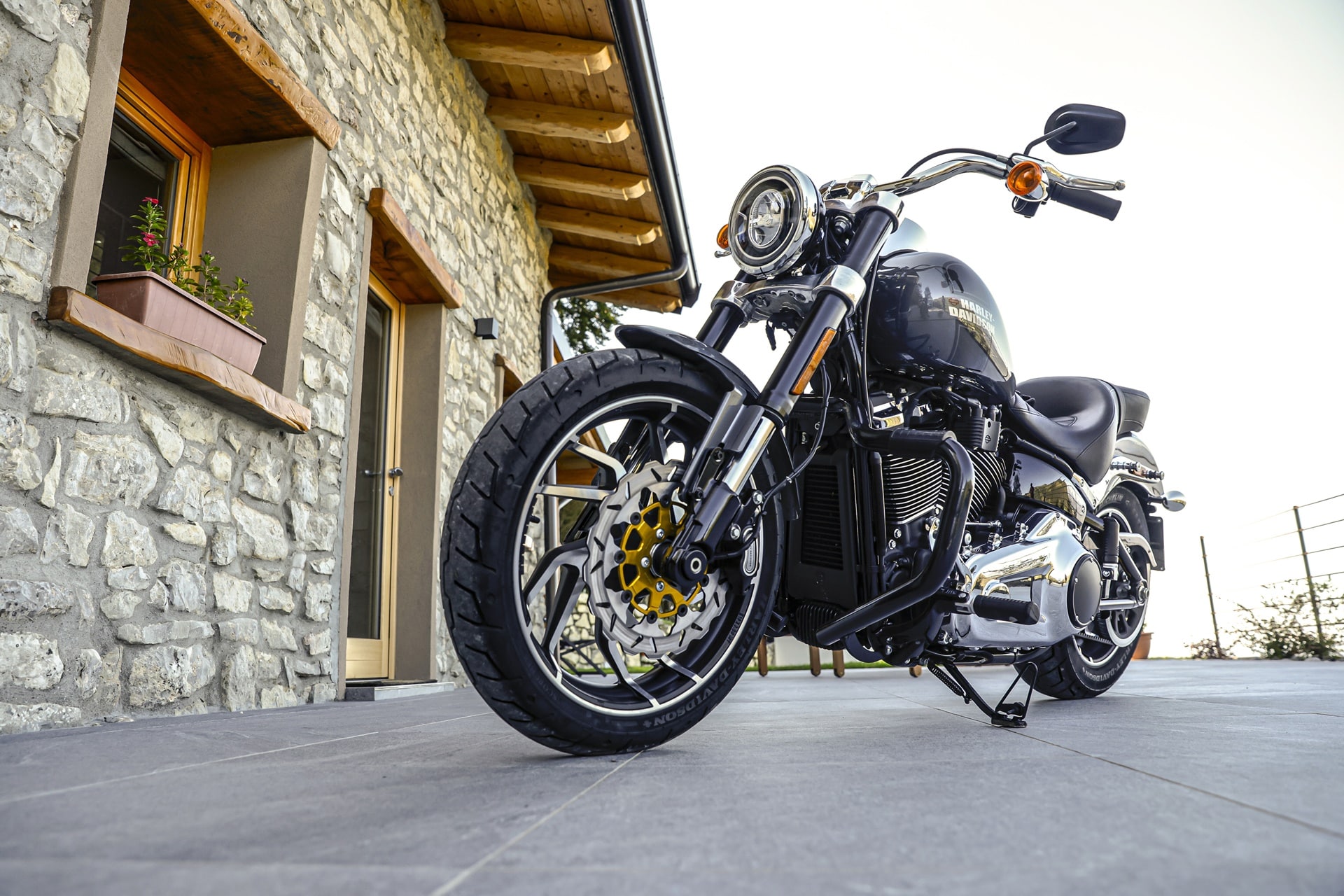 Gama Galfer V-Twin 2025