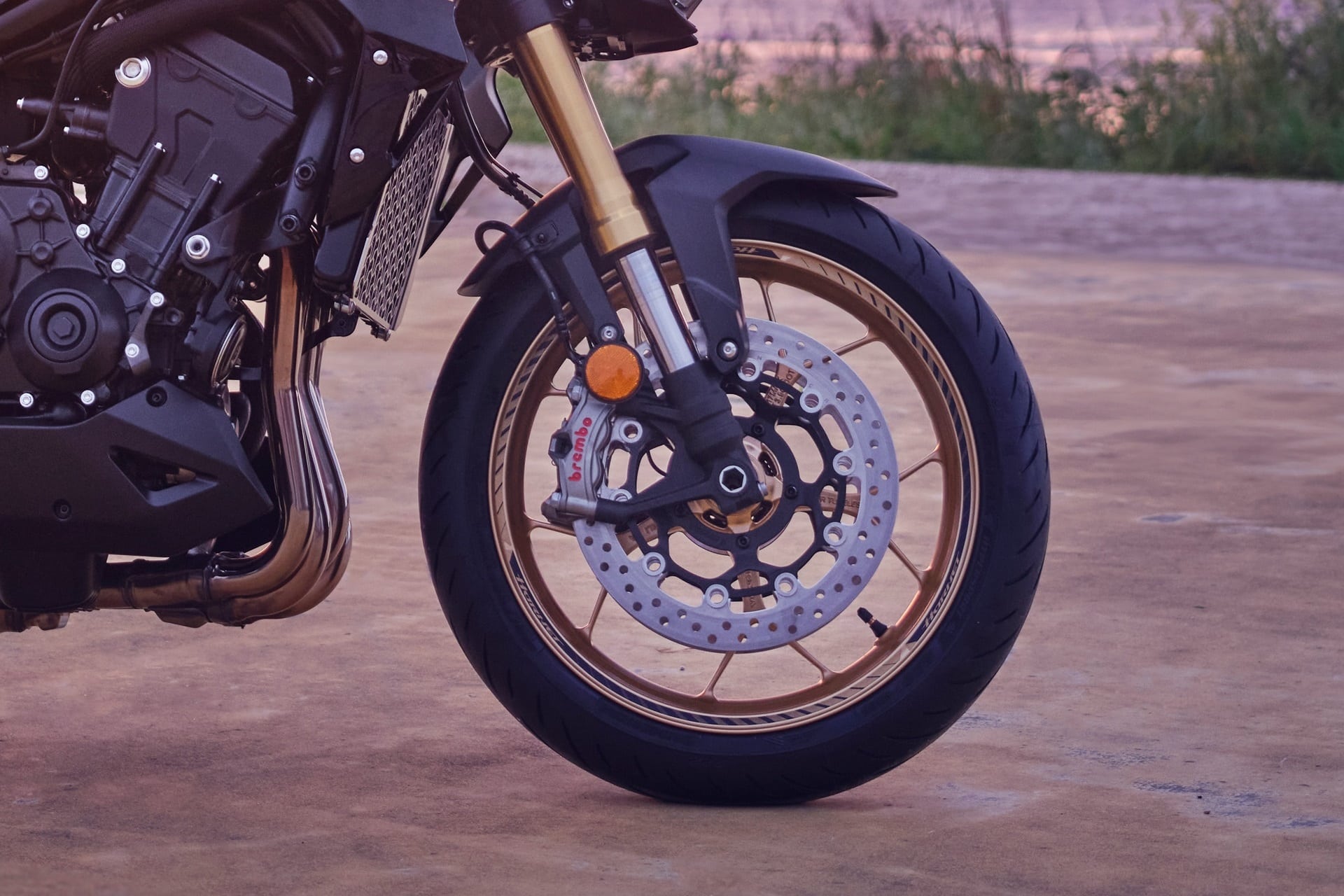 Honda lanza finalmente su nueva CB1000 Hornet 2025, acompañada de una excitante versión SP