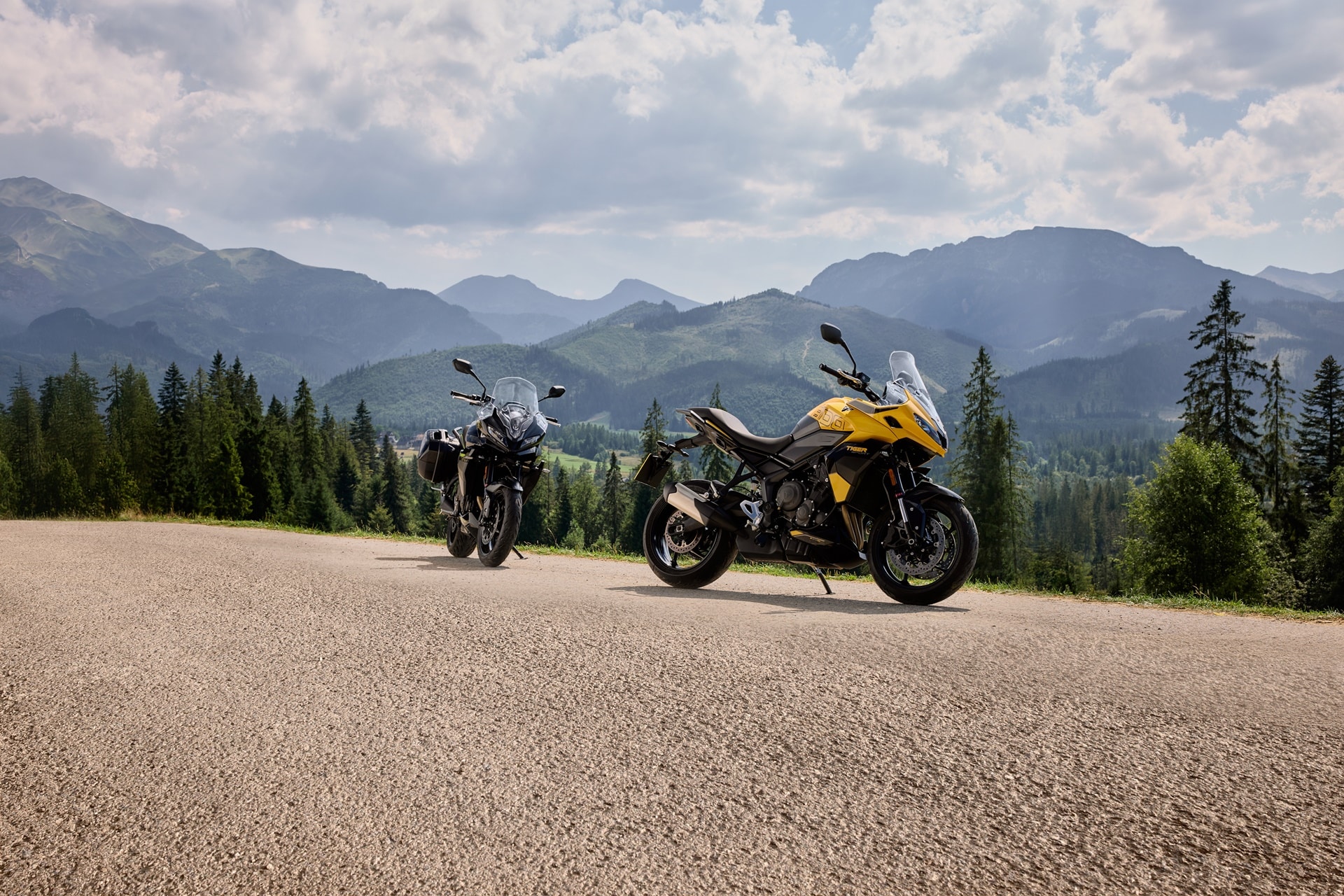 Triumph Tiger Sport 800 2025