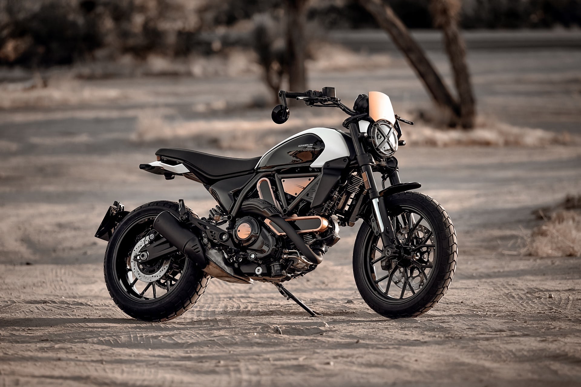 Ducati Scrambler 10° Aniversario Rizoma Edition