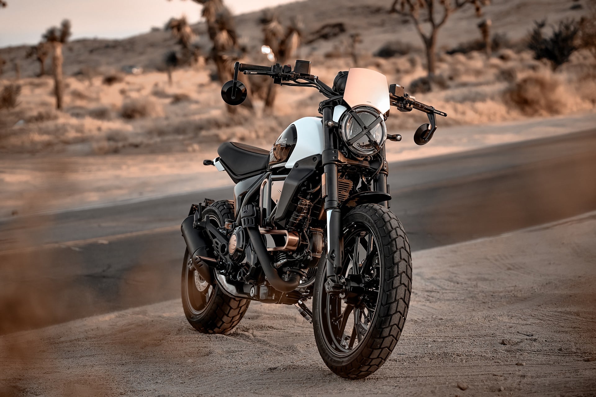 Ducati Scrambler 10° Aniversario Rizoma Edition