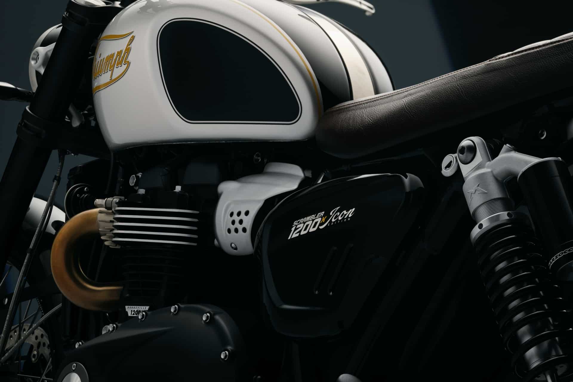Icon Editions de Triumph
