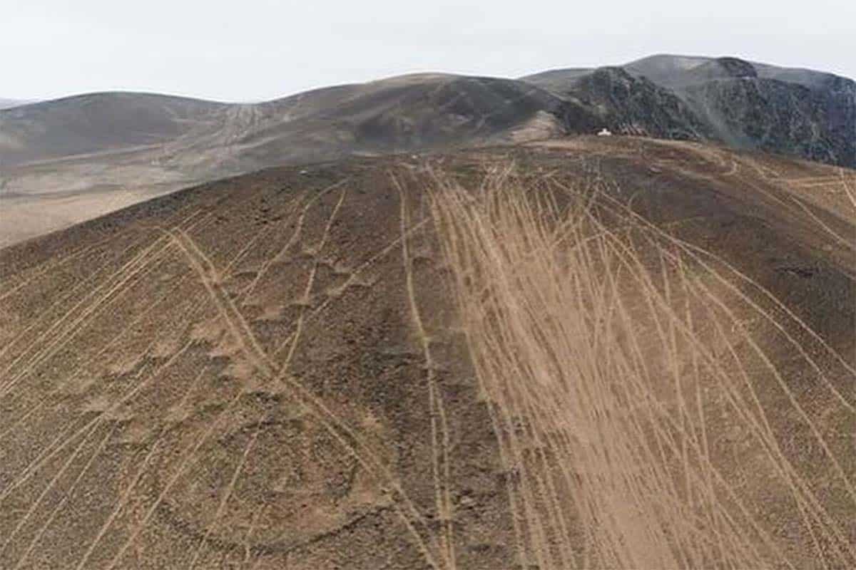 Los daños son irreparables en algunos de ellos