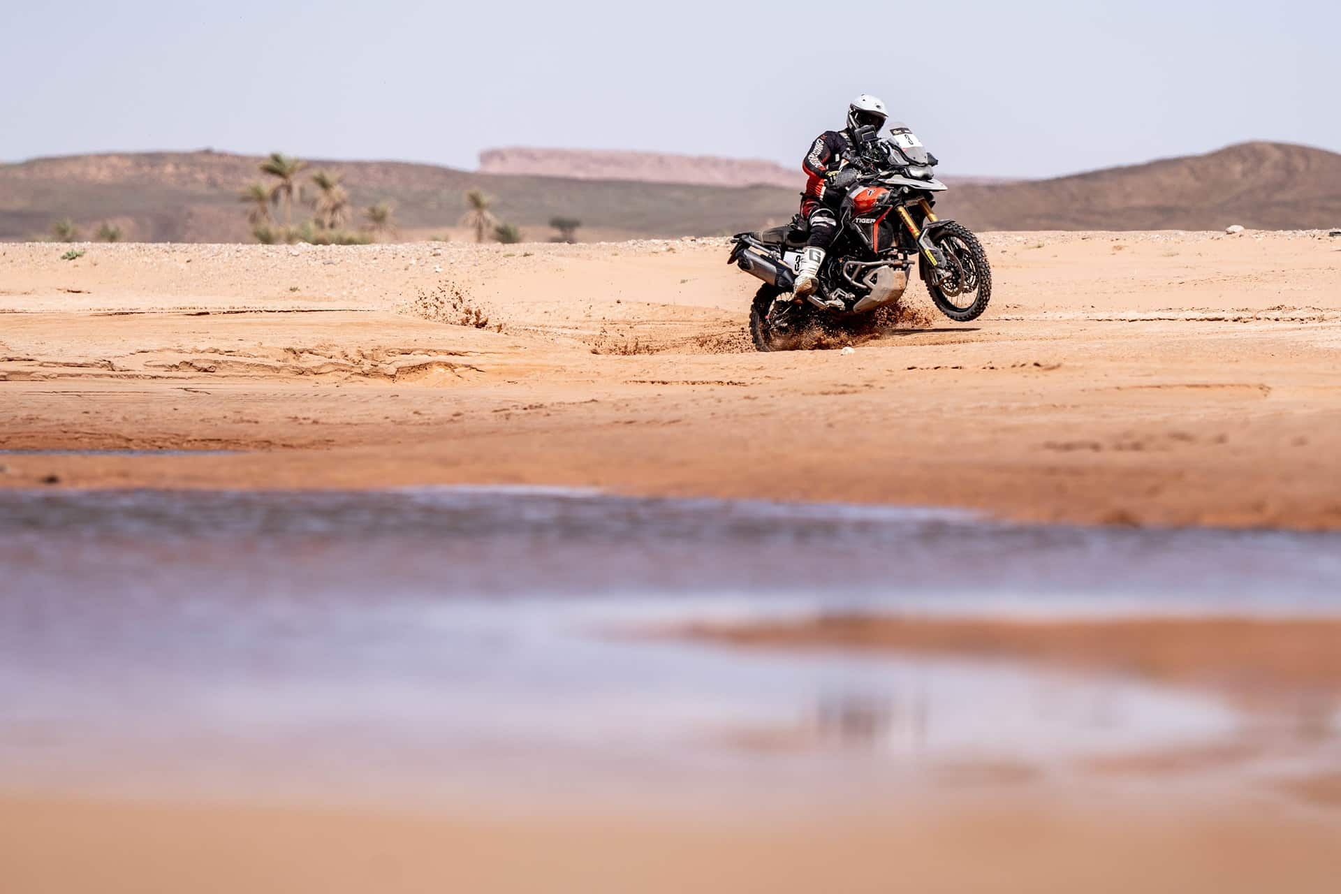 Una Tiger 900 Rally Pro termina el Addax Rally en segunda posición de la categoría trail