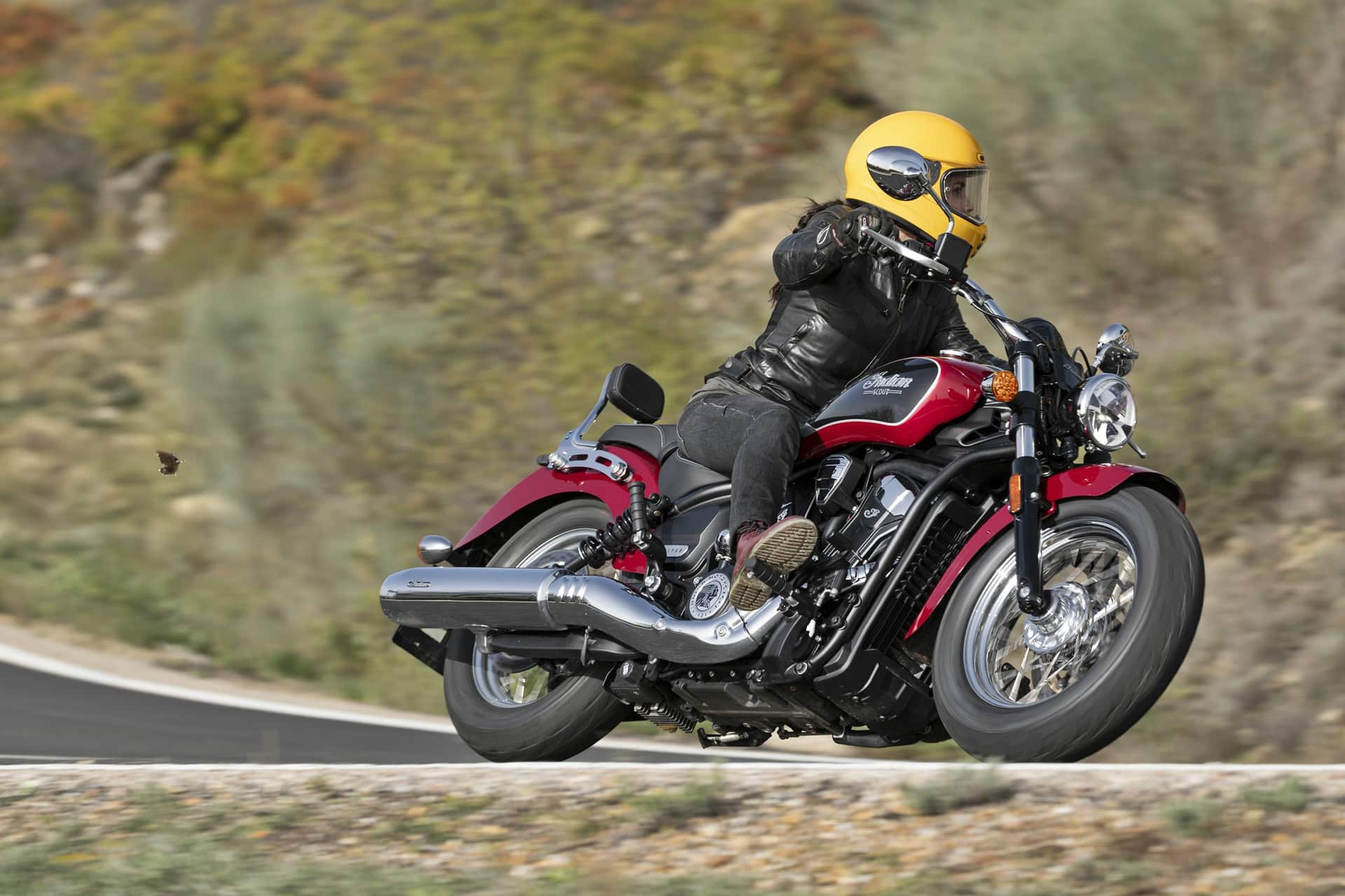Prueba Indian Scout 2025