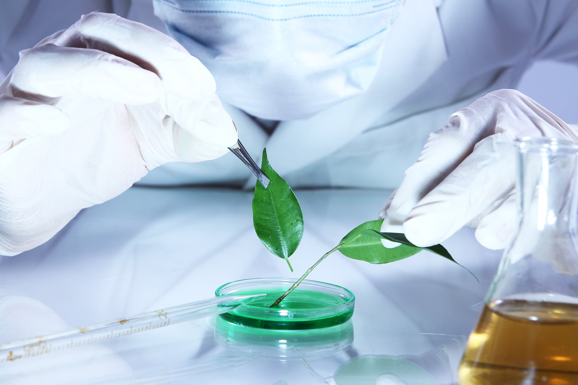 Una “simple” hoja artificial podría cambiar el mundo de los biocarburantes