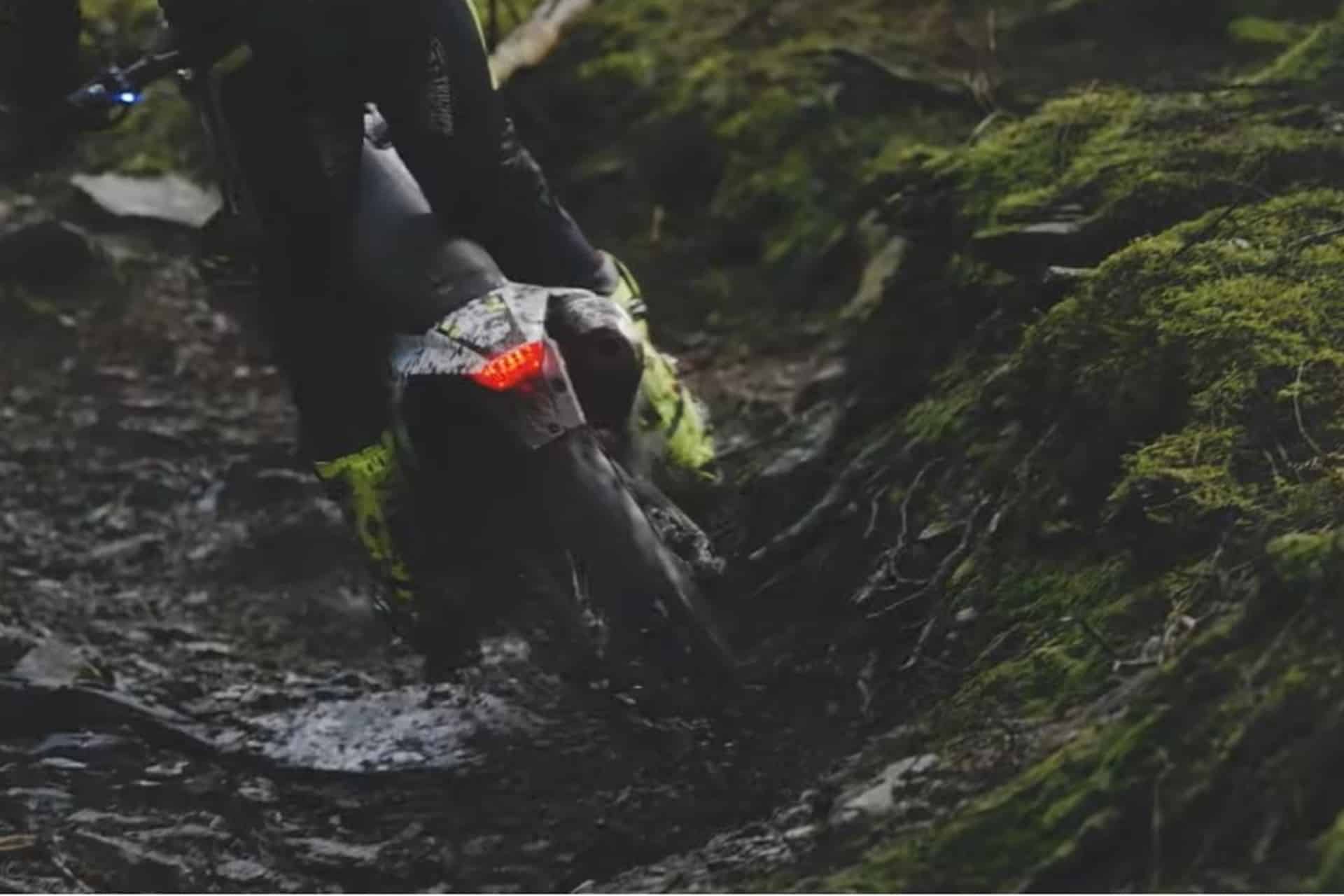 Los nuevos modelos enduro 250 y 450 de Triumph se exhiben ante la cámara por primera vez