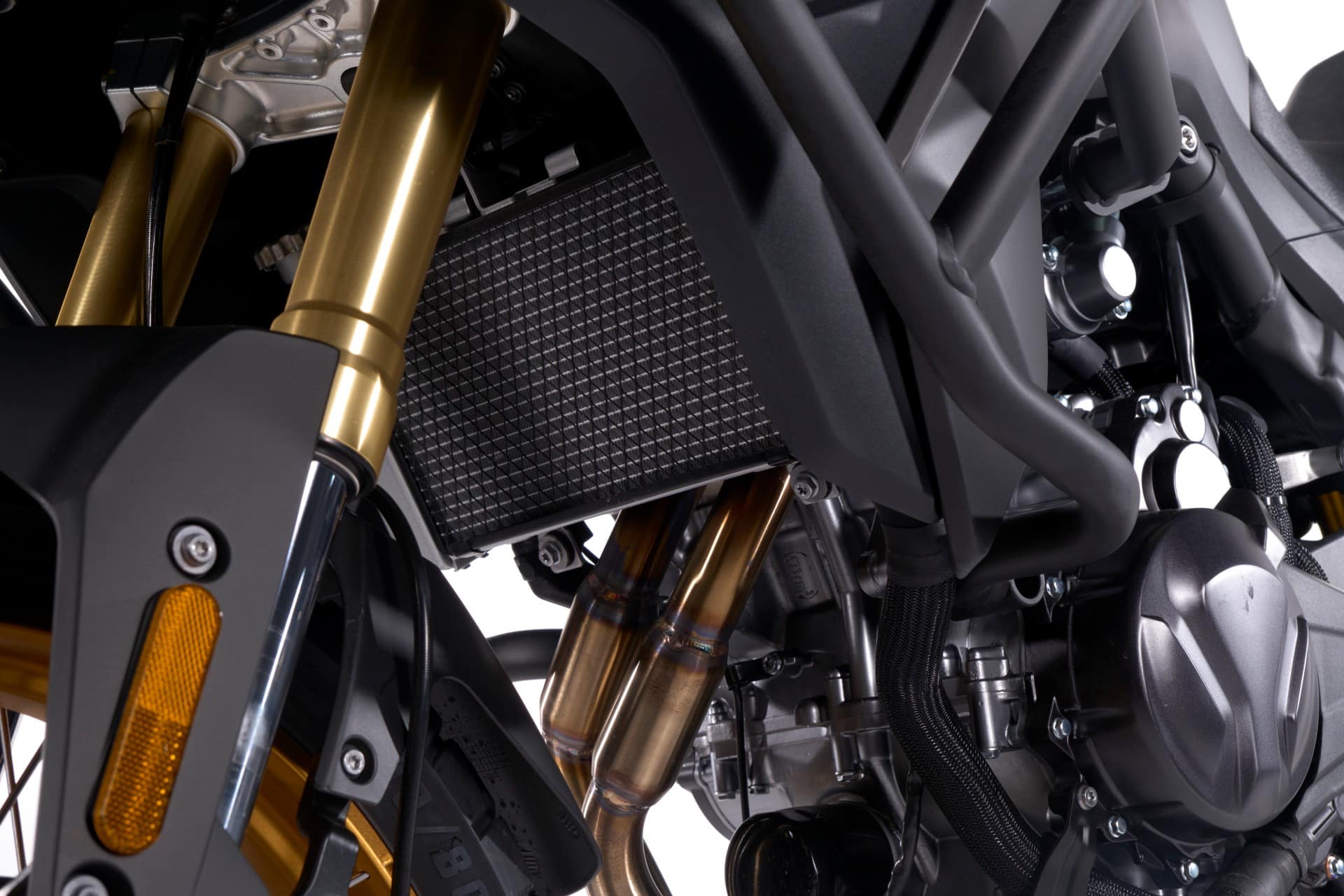 MITT TT 555 Gold Edition 2025