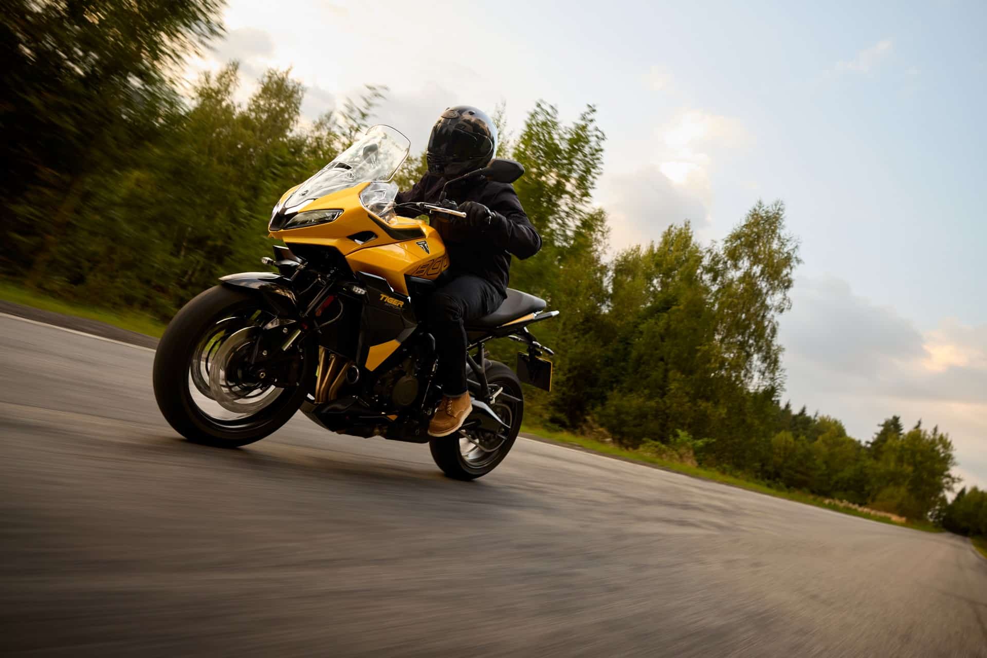 TRIUMPH WARMUP 2025