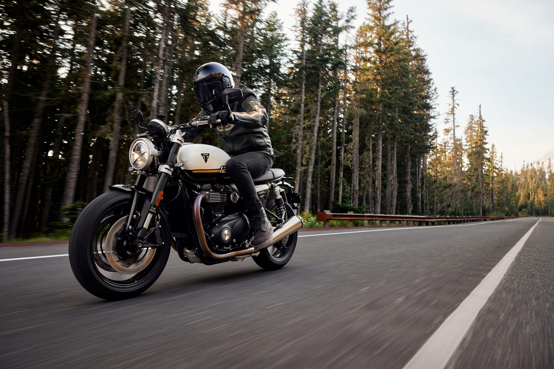 TRIUMPH WARMUP 2025