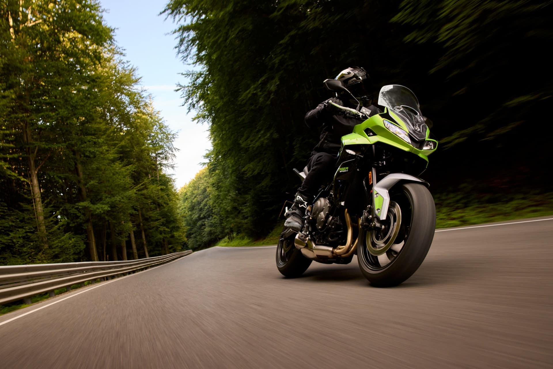 TRIUMPH WARMUP 2025