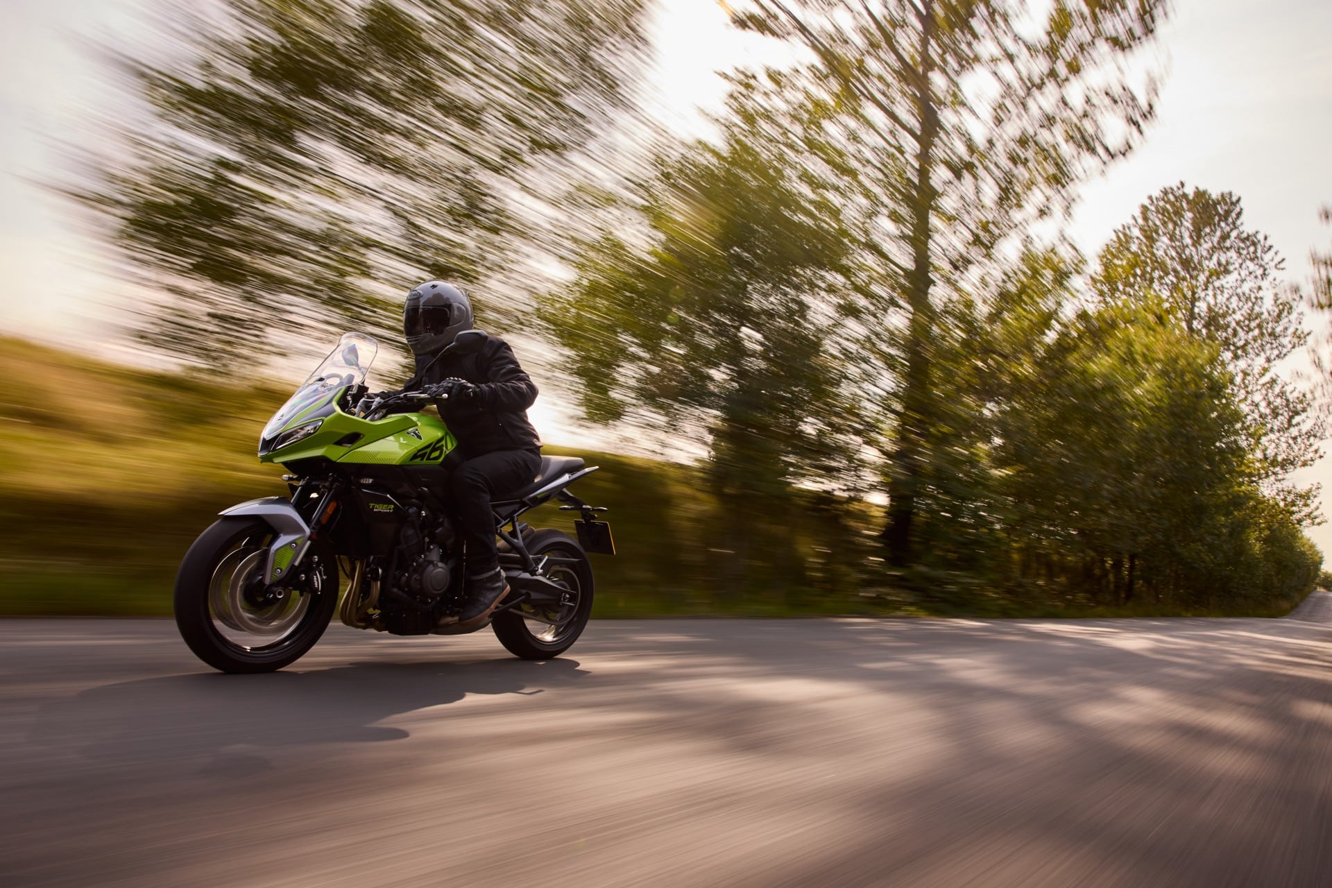 TRIUMPH WARMUP 2025
