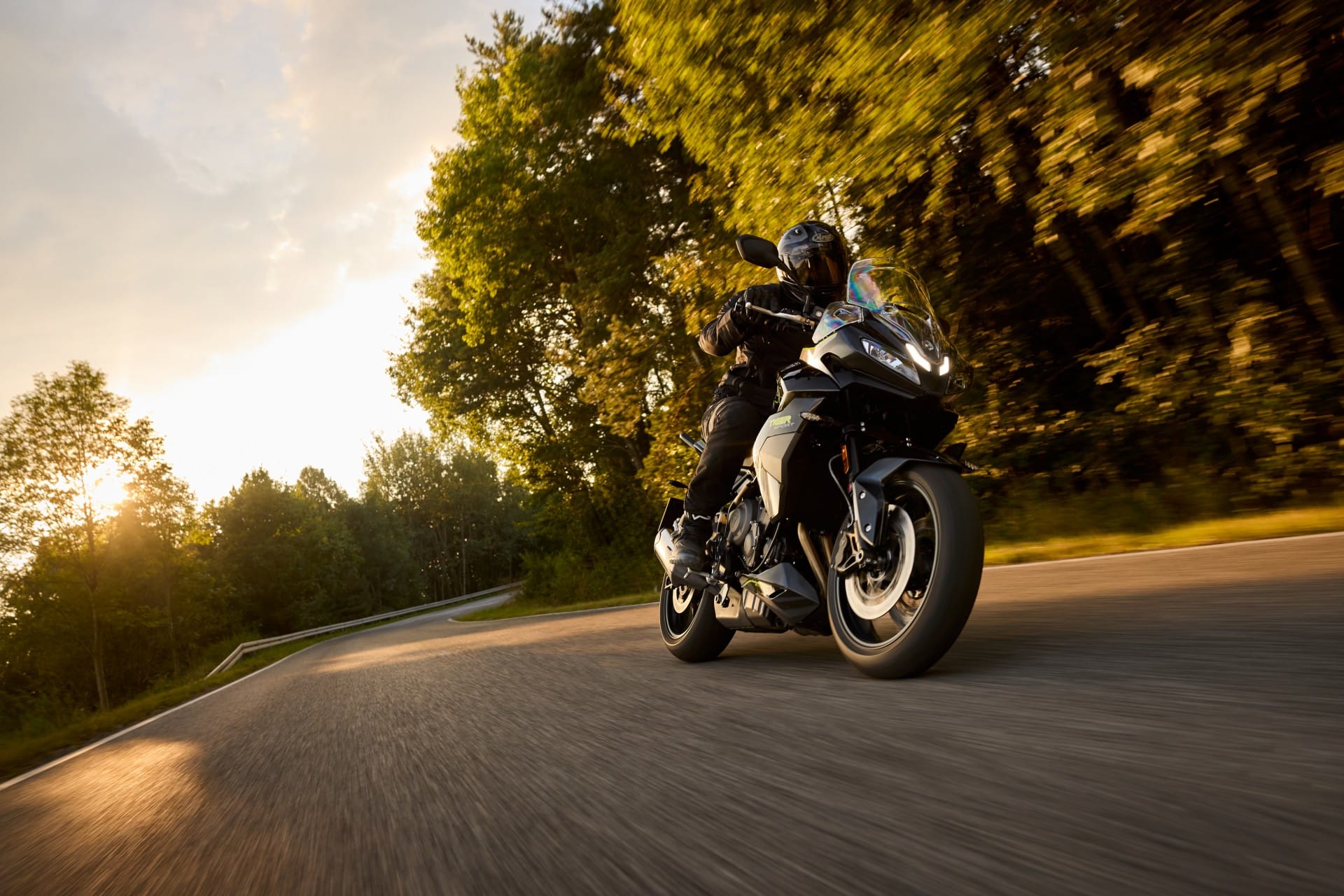 TRIUMPH WARMUP 2025