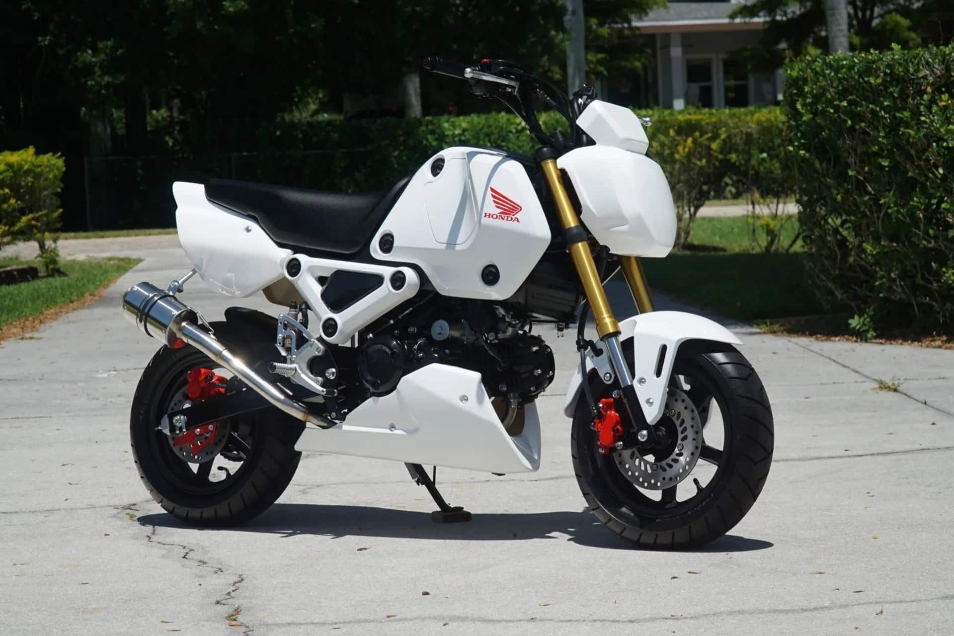 Motos de ensueño a la venta: Honda Grom HRC Cup 2023
