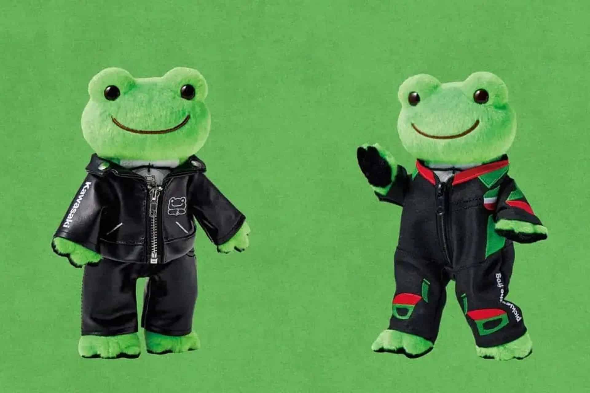 Kawasaki x Pickles the Frog- Autocosmos