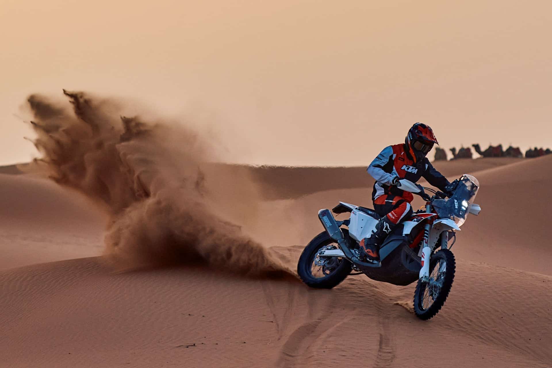 2026 KTM 450 RALLY REPLICA