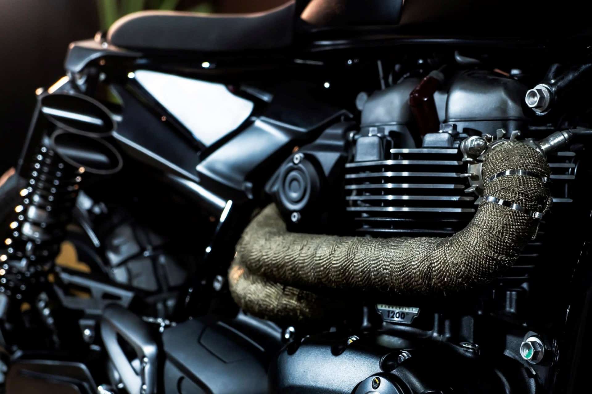 Triumph Originals 2025