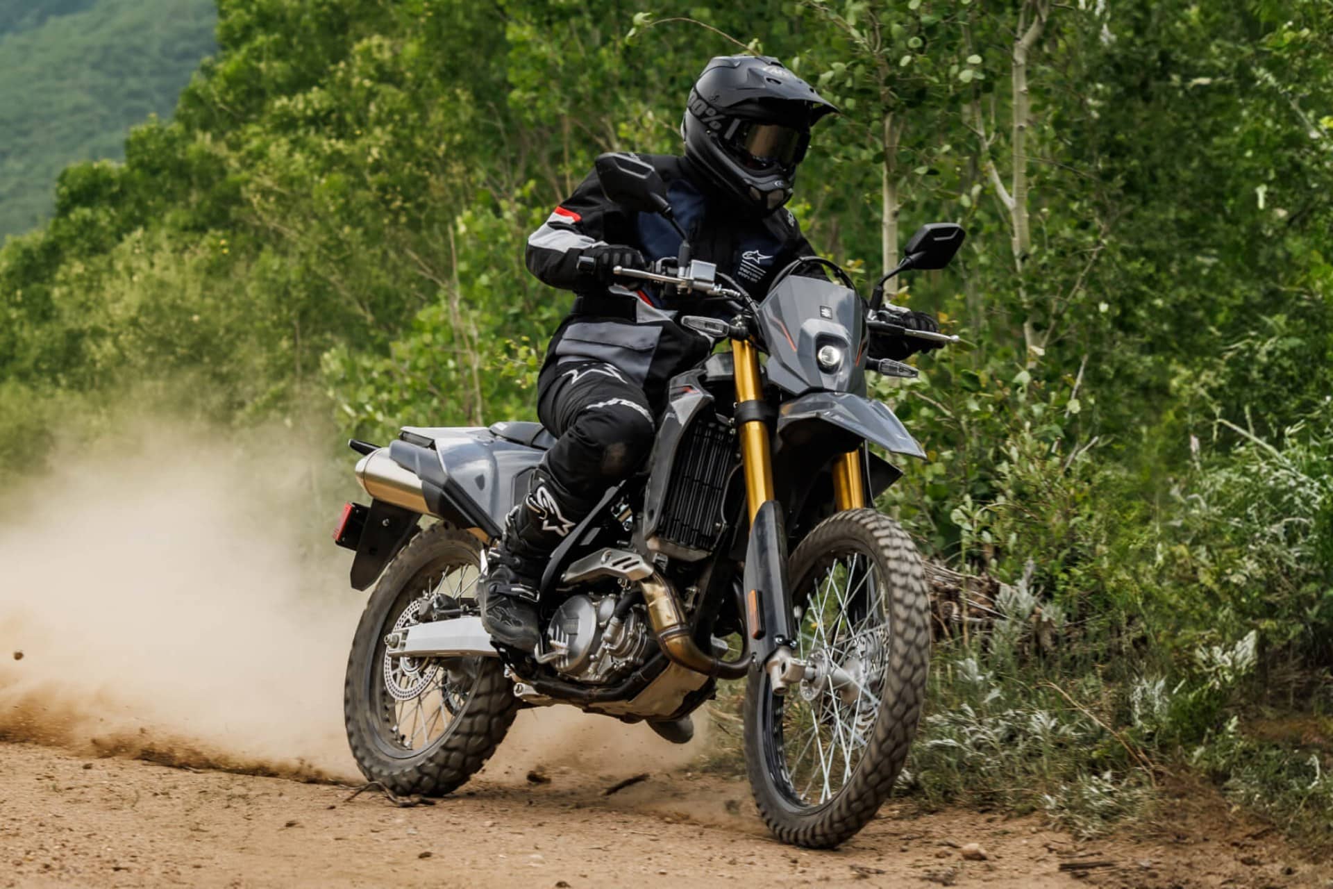 Suzuki DR-Z4S 2025
