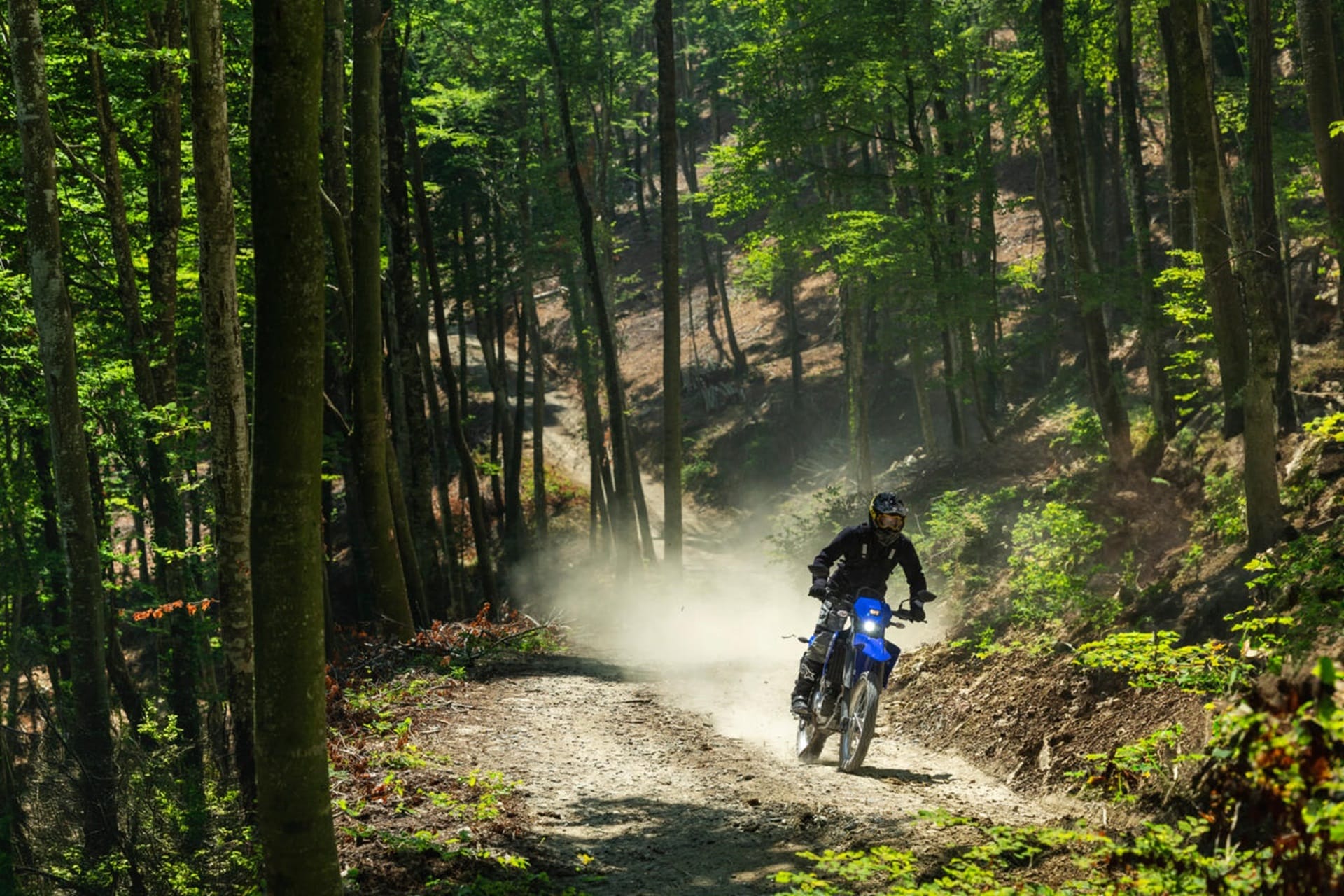 Yamaha WR125R 2026