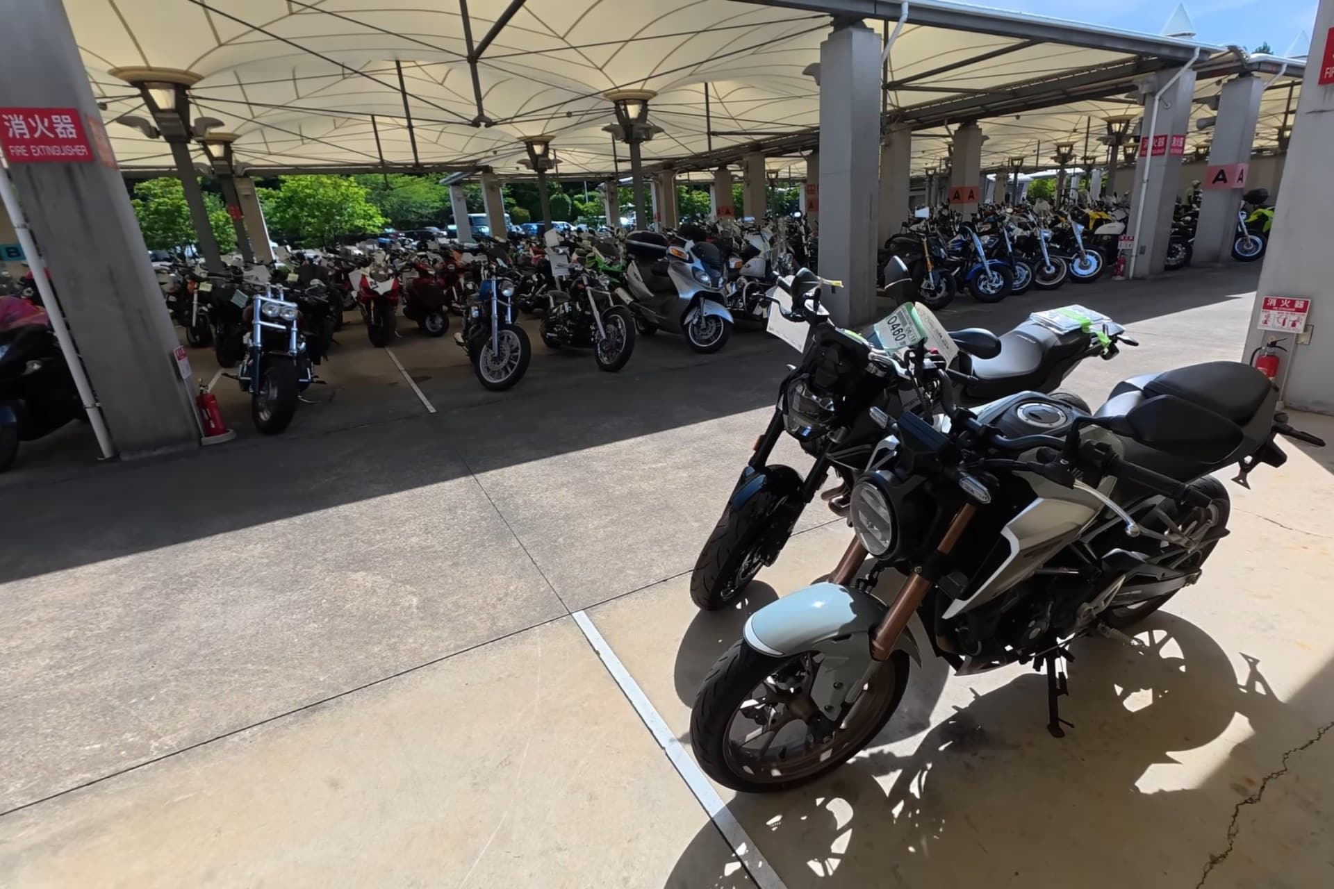 BDS Auctions