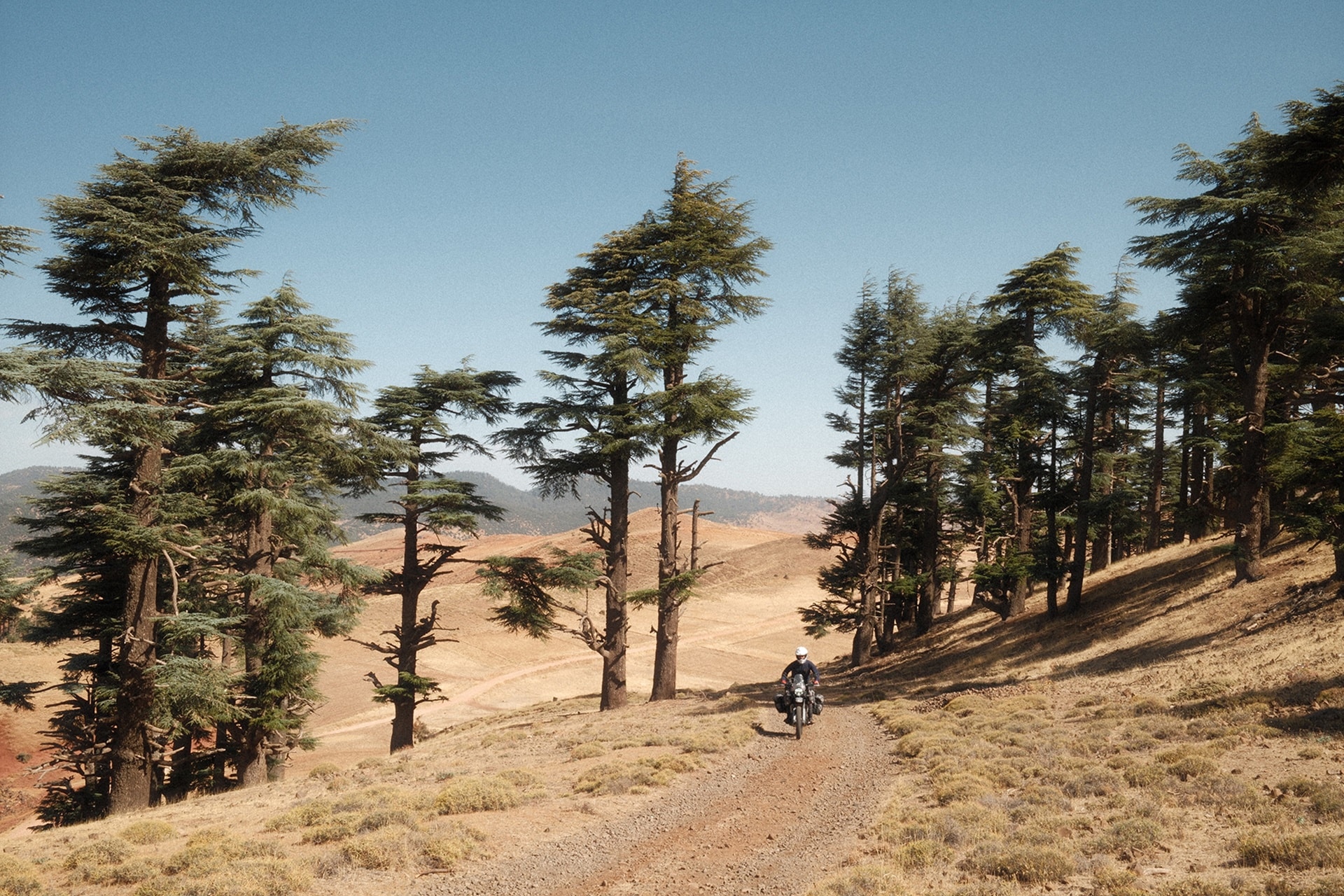 Down To Africa: Una aventura de más de 20.000 kilómetros en moto en 100 días