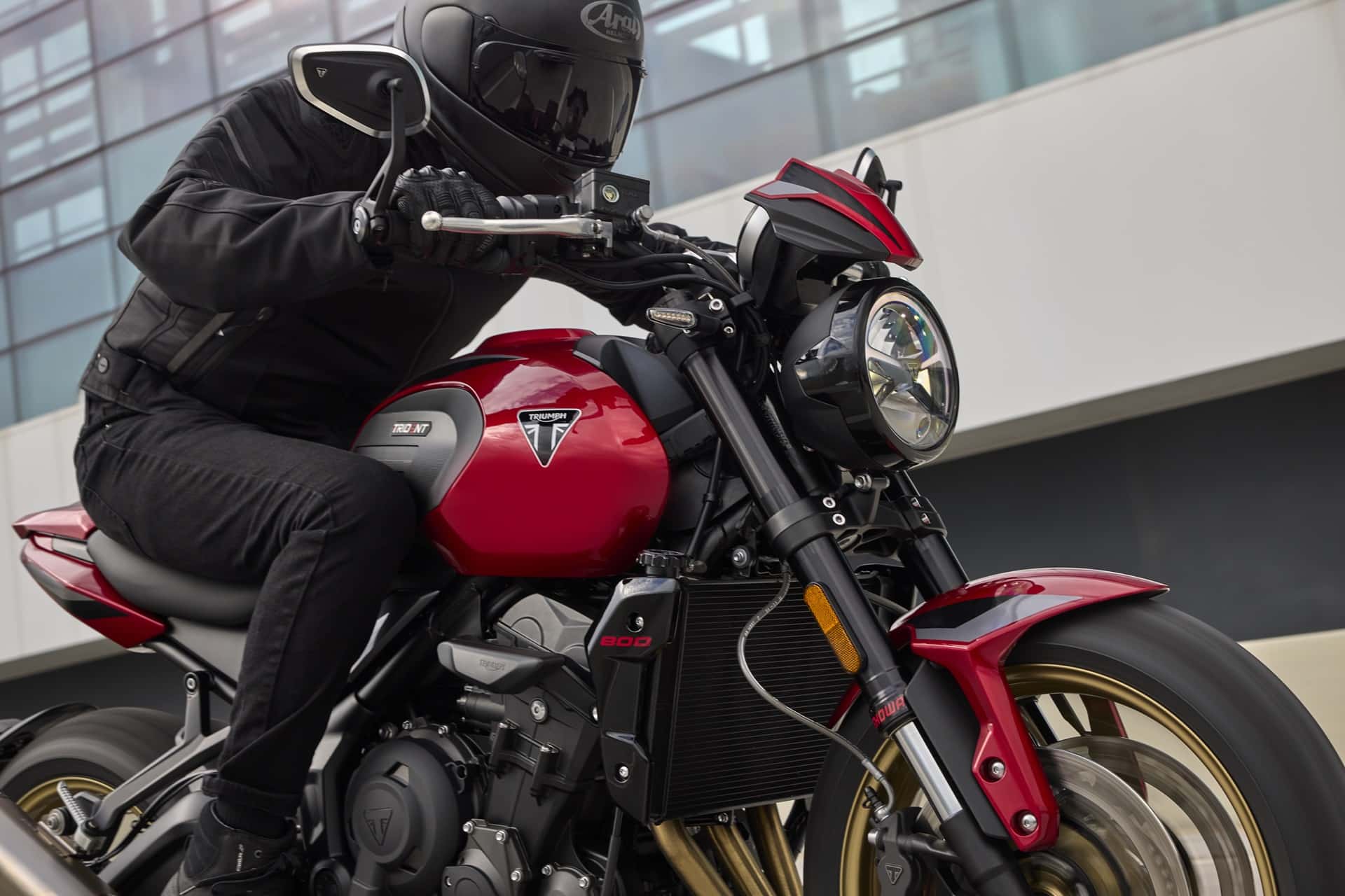 Triumph Trident 800 2026