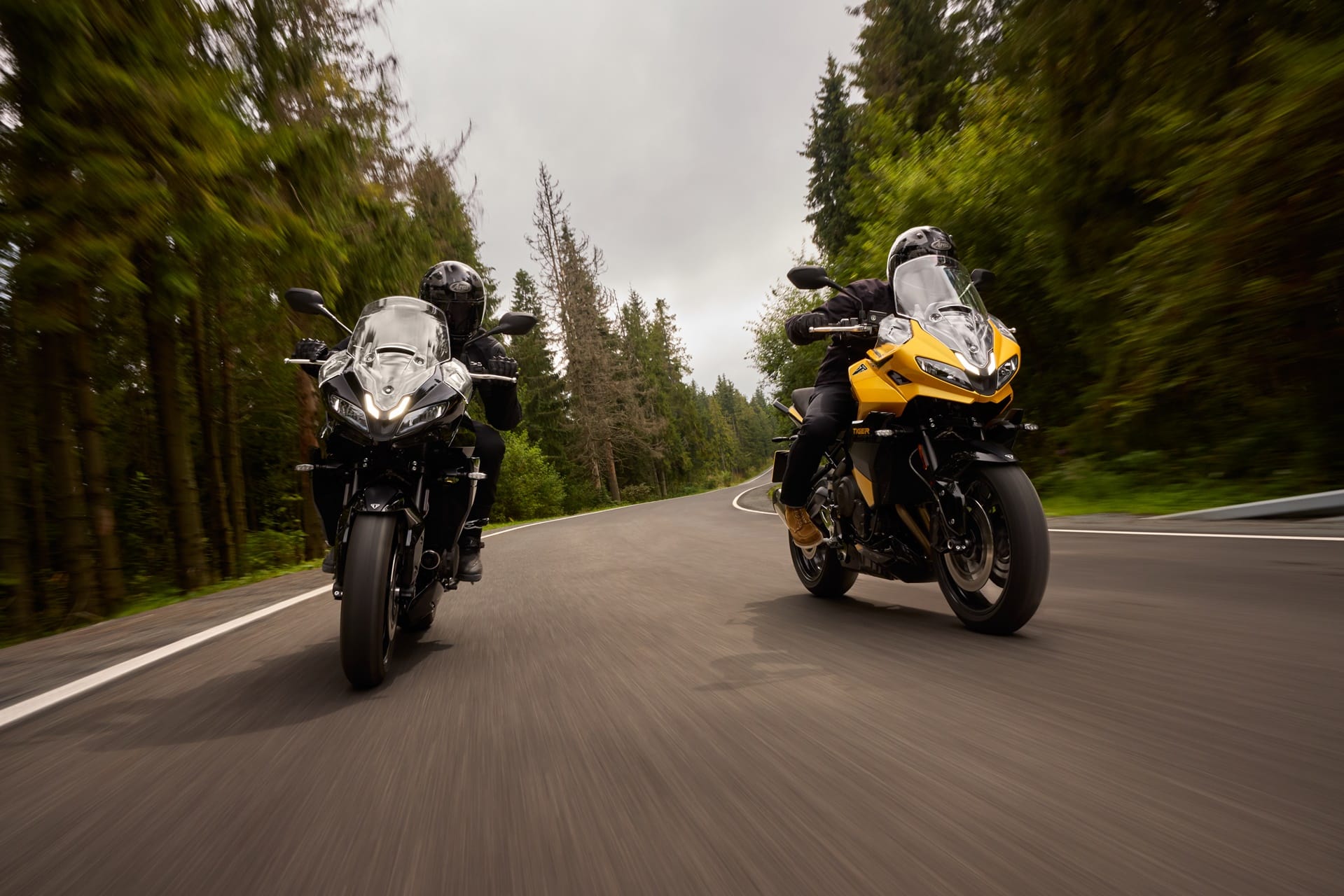 Black Days 2025 de Triumph: La ocasión perfecta para estrenar moto
