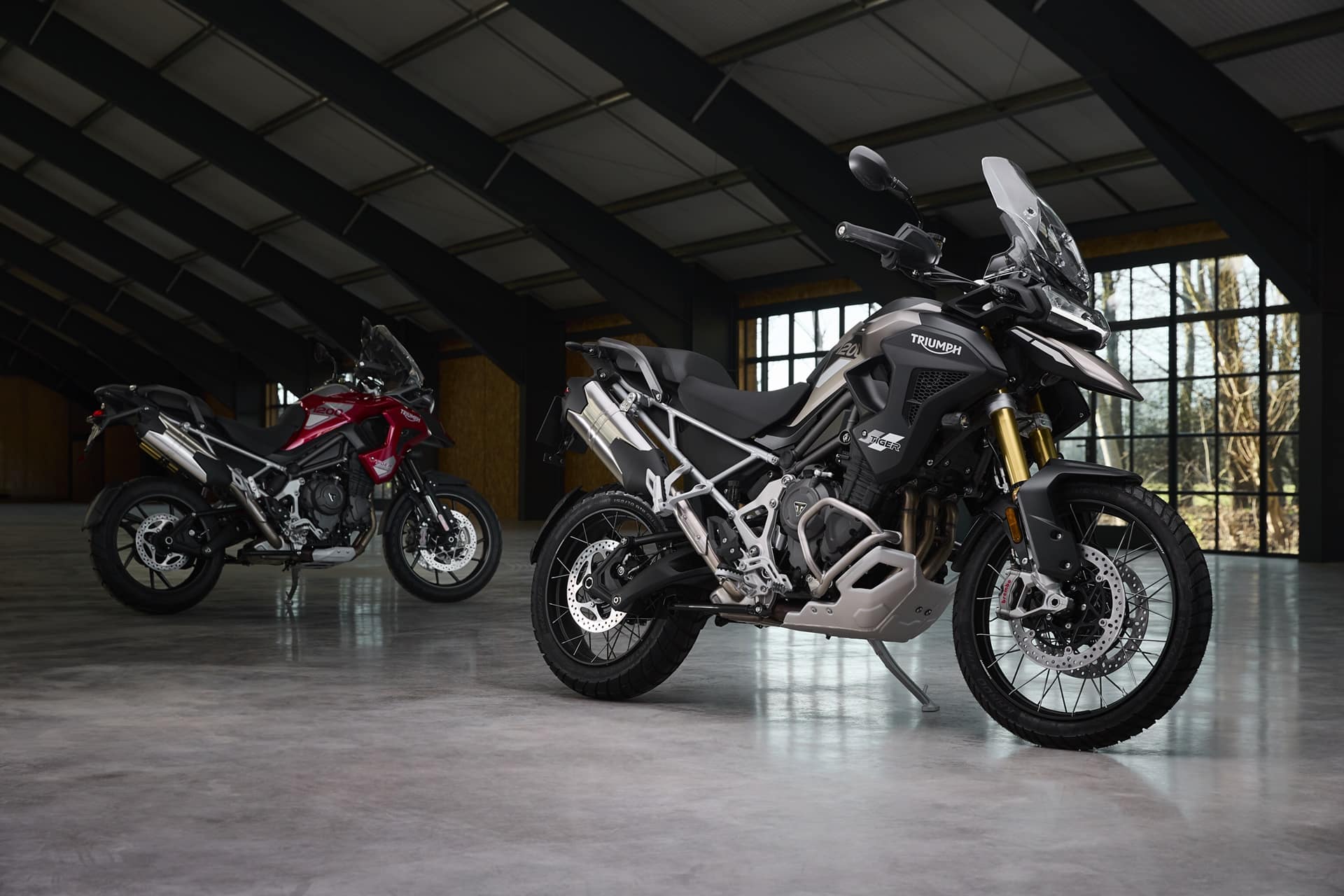 Black Days 2025 de Triumph: La ocasión perfecta para estrenar moto