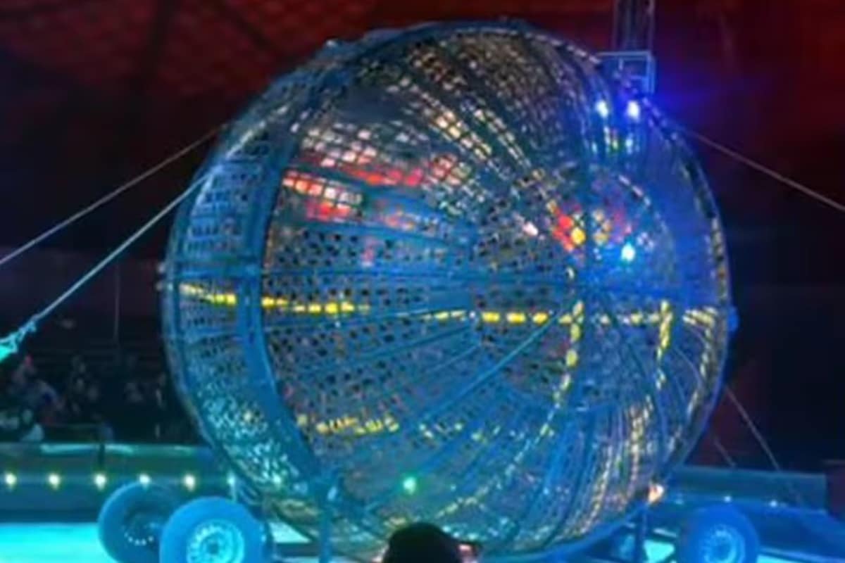 Un especialista chileno del Imperial Royal Circus pierde la vida mientras realizaba una arriesgada acrobacia junto a otros dos compañeros