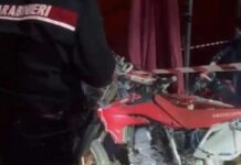 Un especialista chileno del Imperial Royal Circus pierde la vida mientras realizaba una arriesgada acrobacia junto a otros dos compañeros