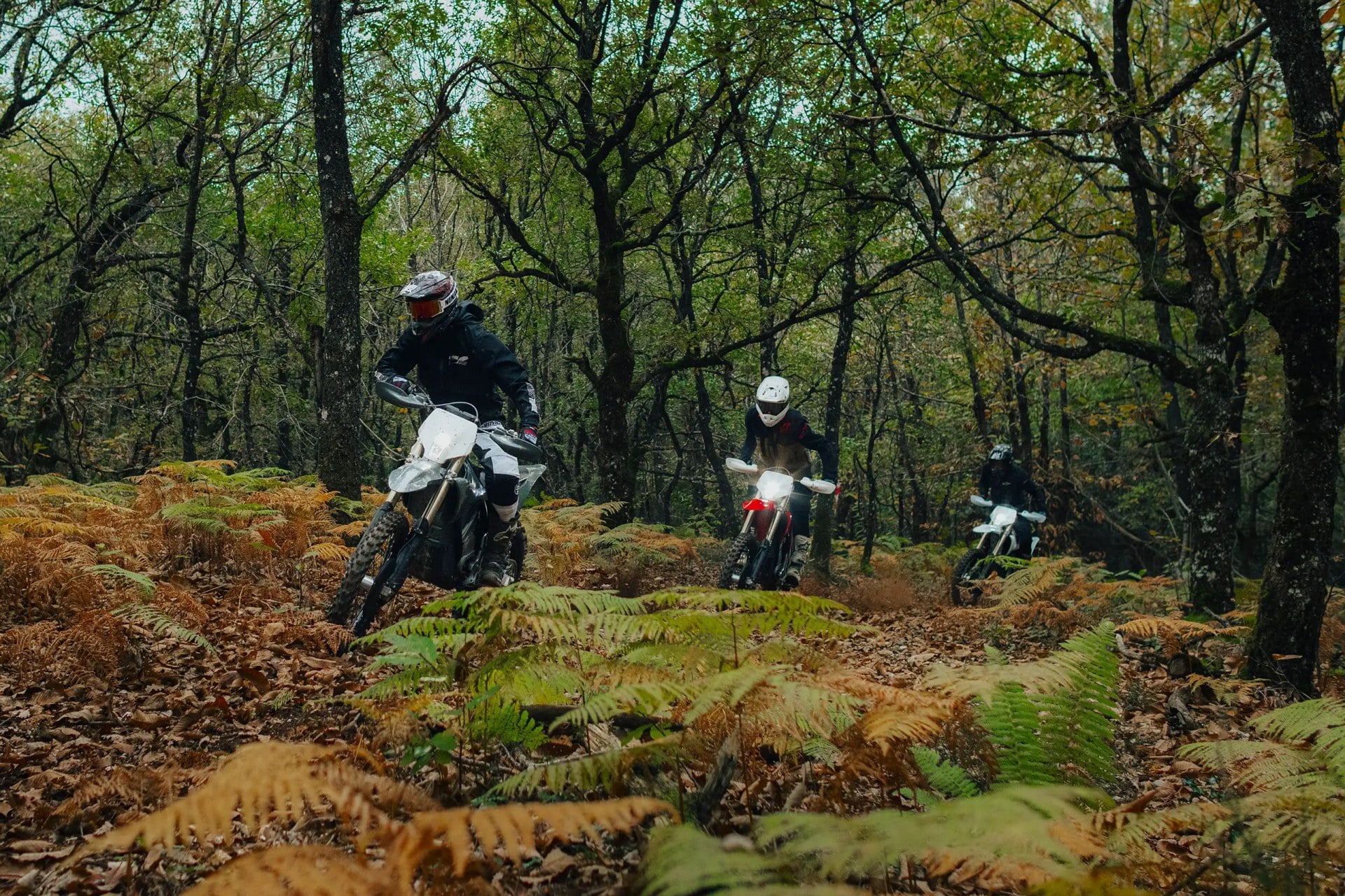 Red Bull Erzbergrodeo Stark Future Varg