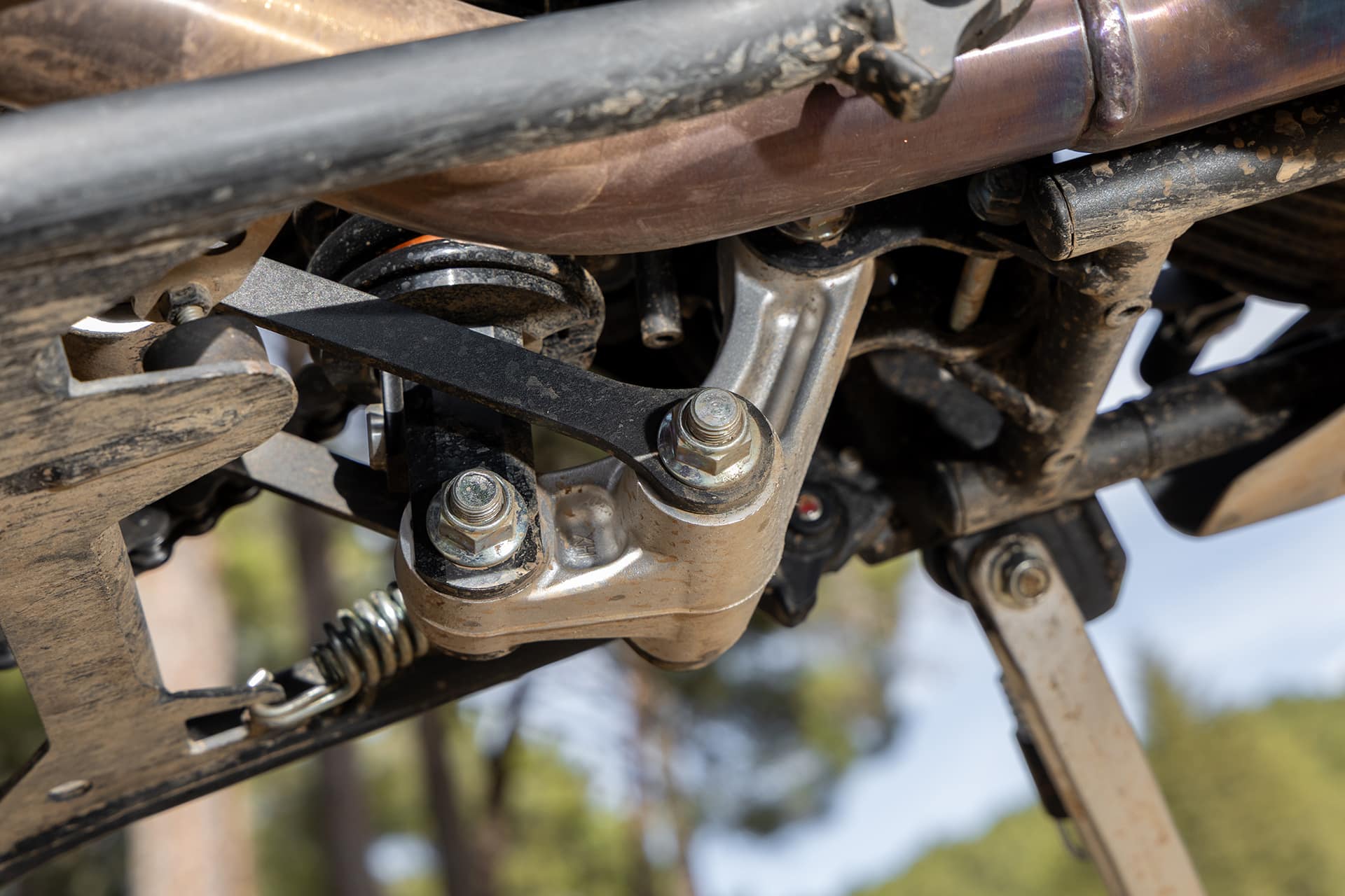 Comparativa Voge 900DSX vs Voge DS800 Rally