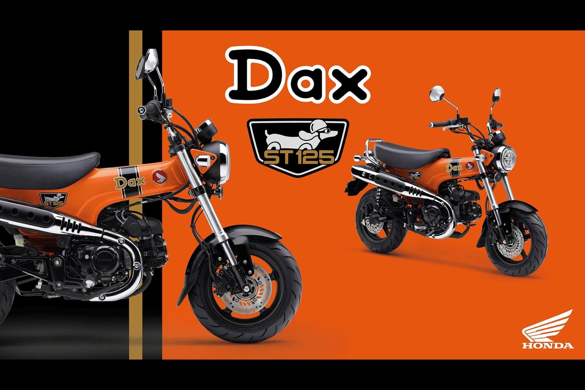 La Monkey 125, ST125 Dax y Super Cub C125 se renuevan visualmente en 2026