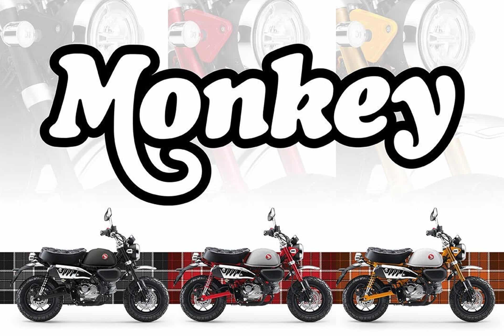 La Monkey 125, ST125 Dax y Super Cub C125 se renuevan visualmente en 2026