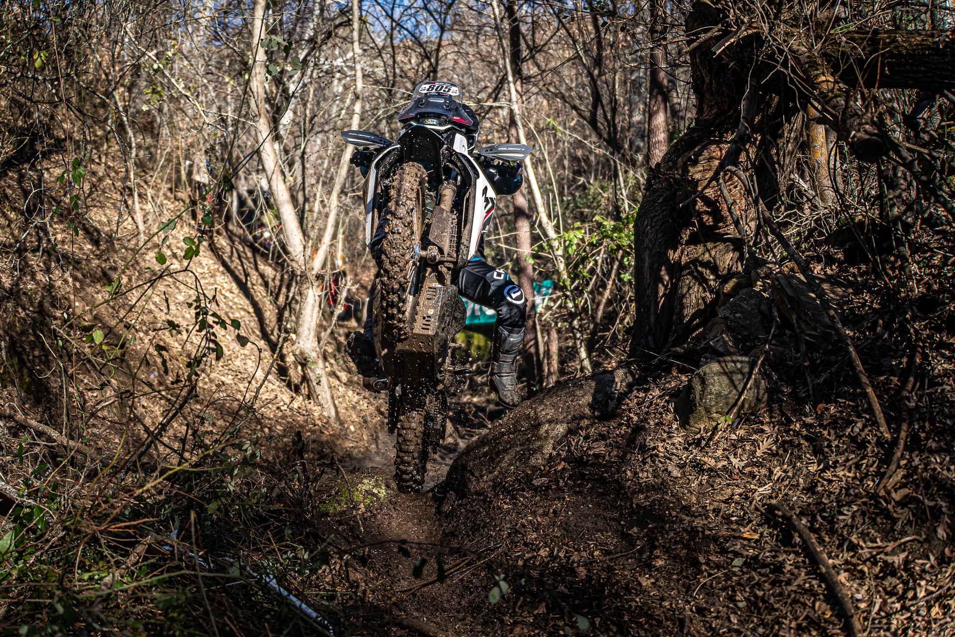 Mario Román logra su primera victoria a los mandos de la CFMoto 450MT