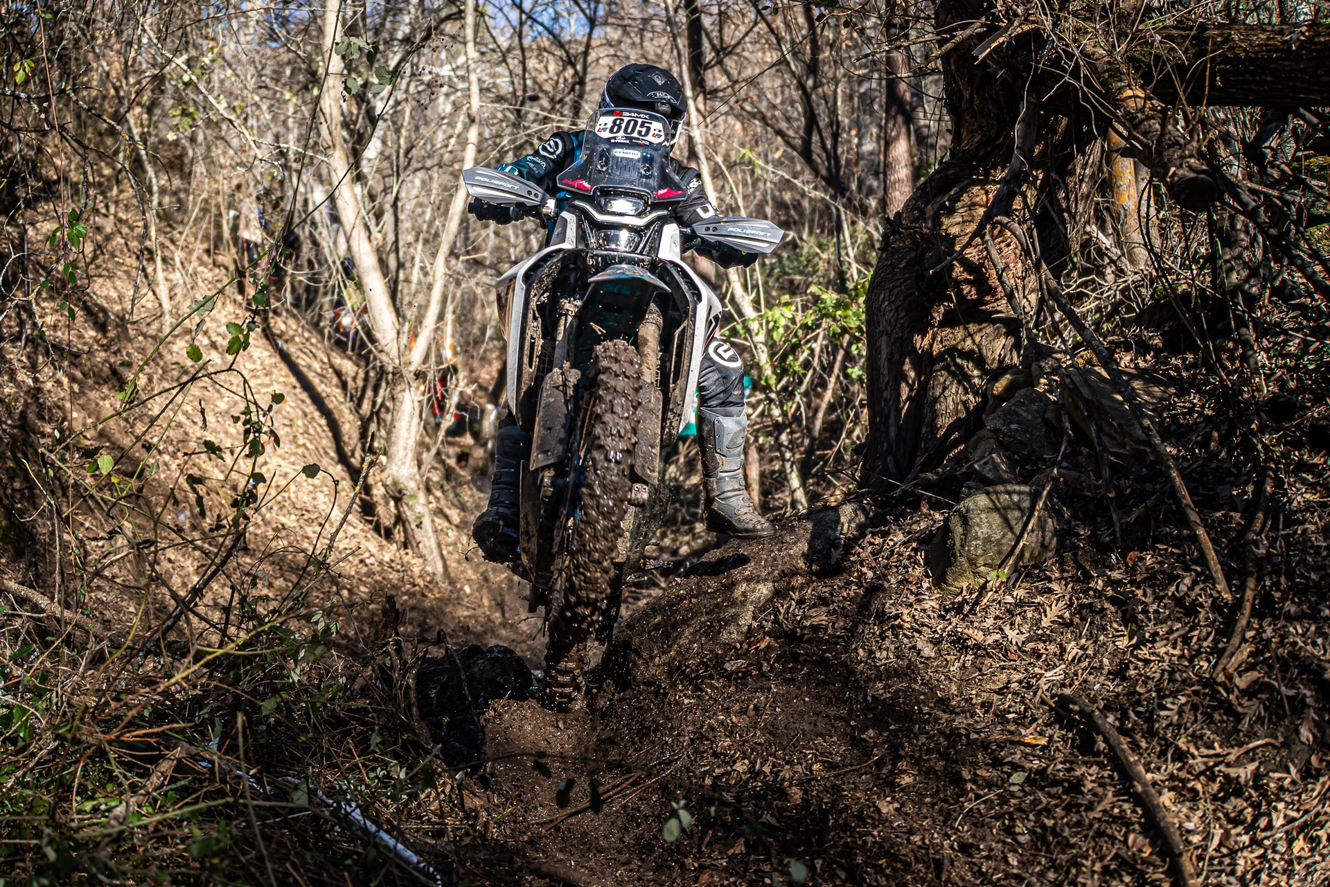 Mario Román logra su primera victoria a los mandos de la CFMoto 450MT