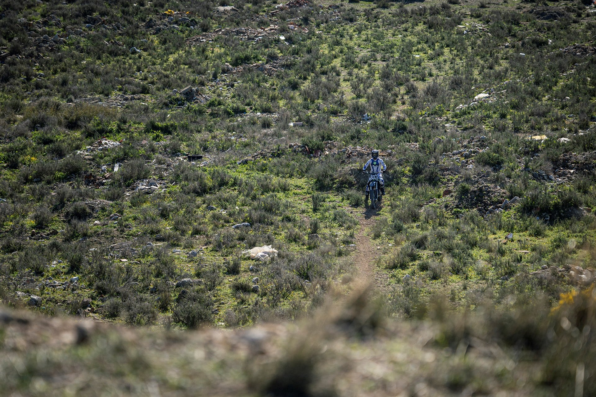 Triumph TF 450-X Guillem Navas