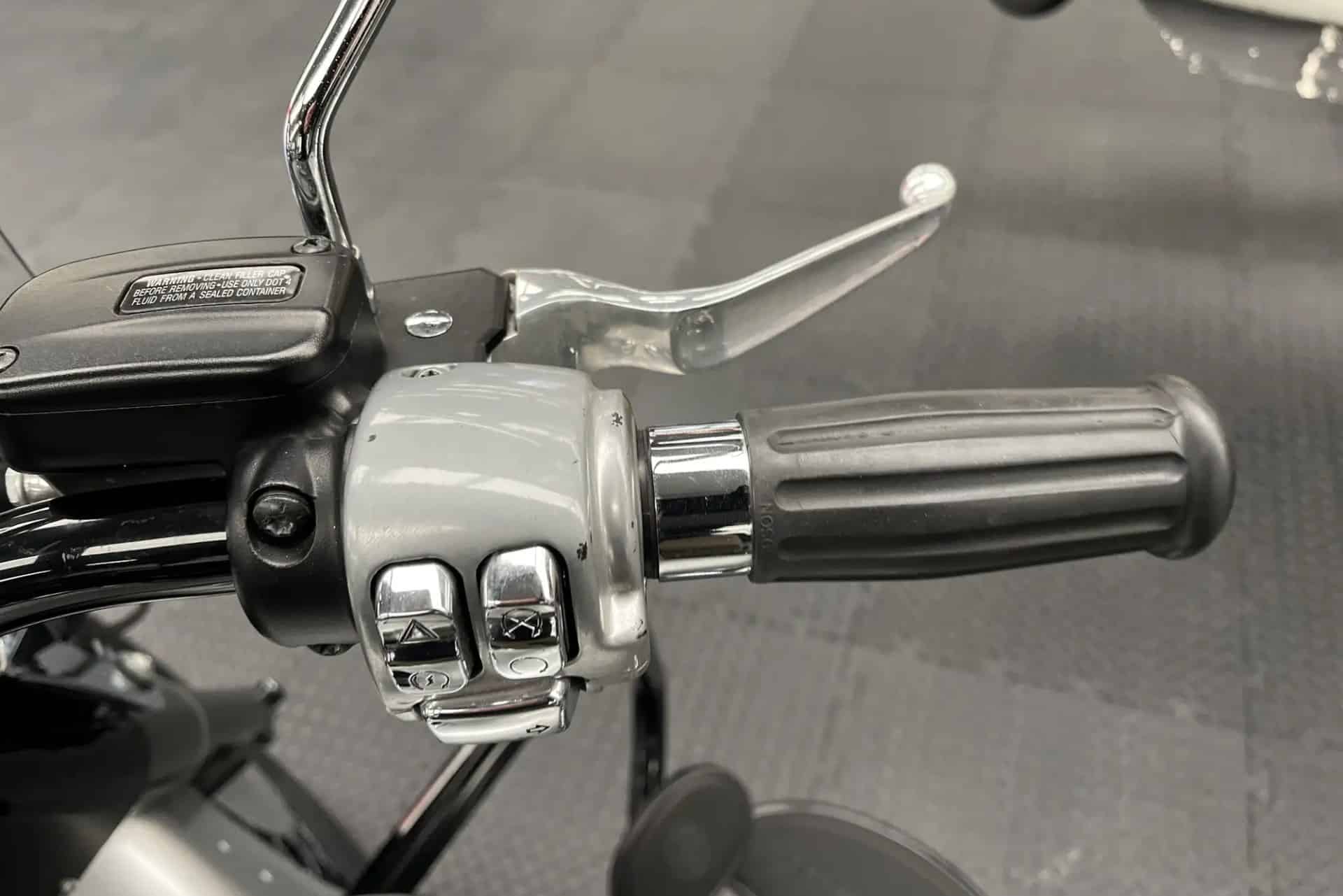 Harley-Davidson Softail Slim Indiana Jones y el dial del destino
