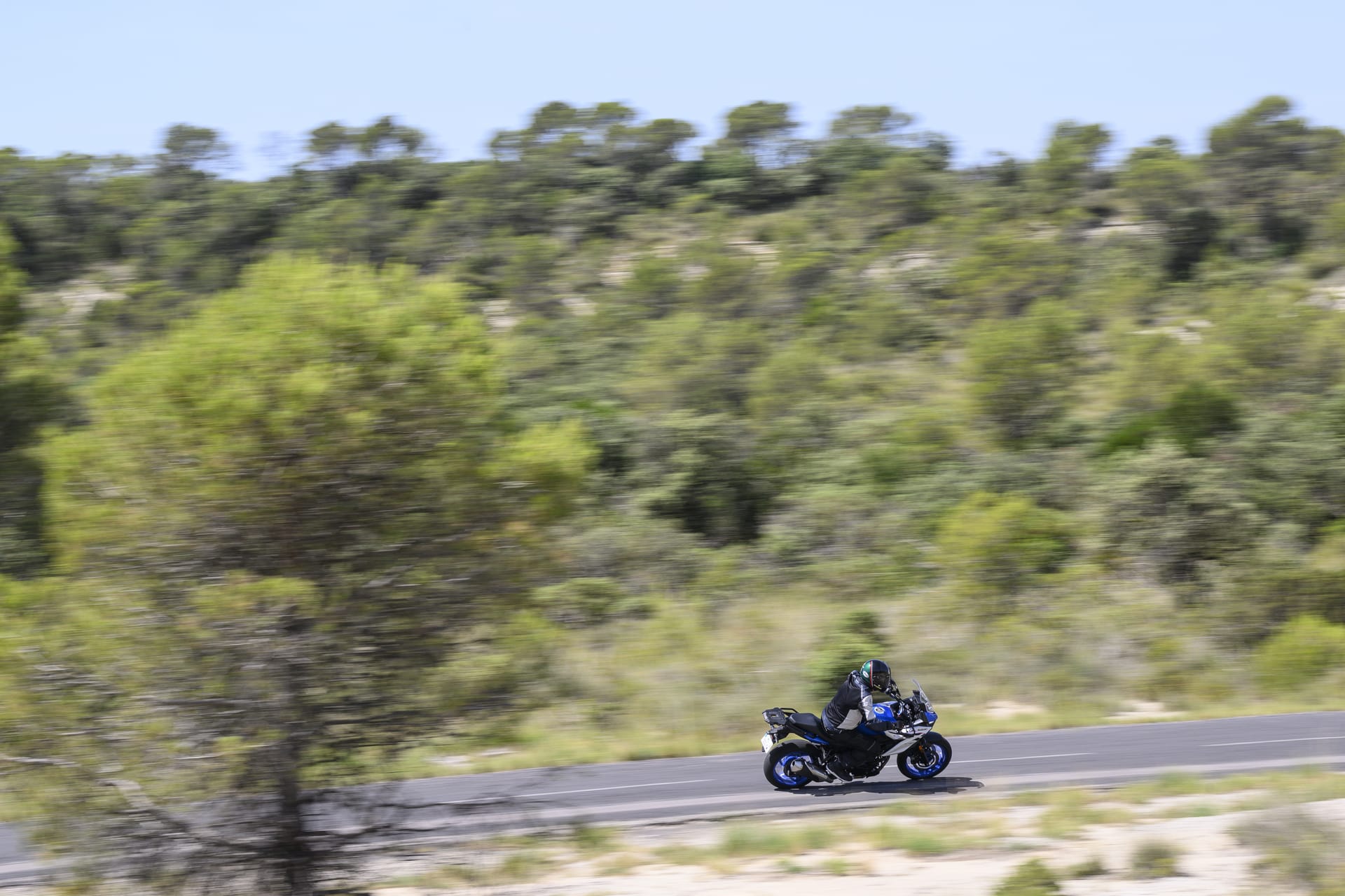 Prueba Suzuki SV-7GX 2026