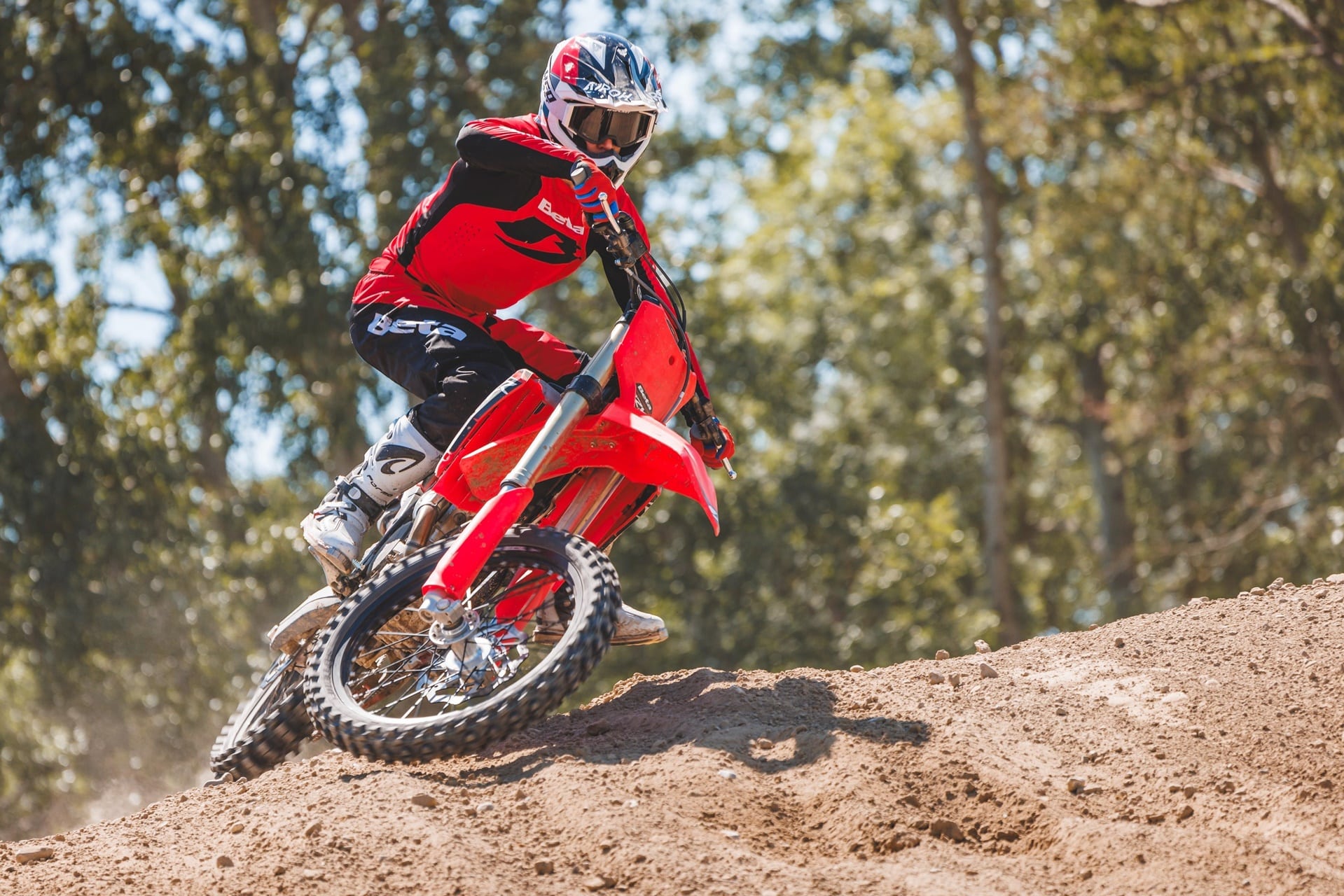 Nueva gama Beta RX MY27: incluye la novedosa RX 250 4T como principal protagonista